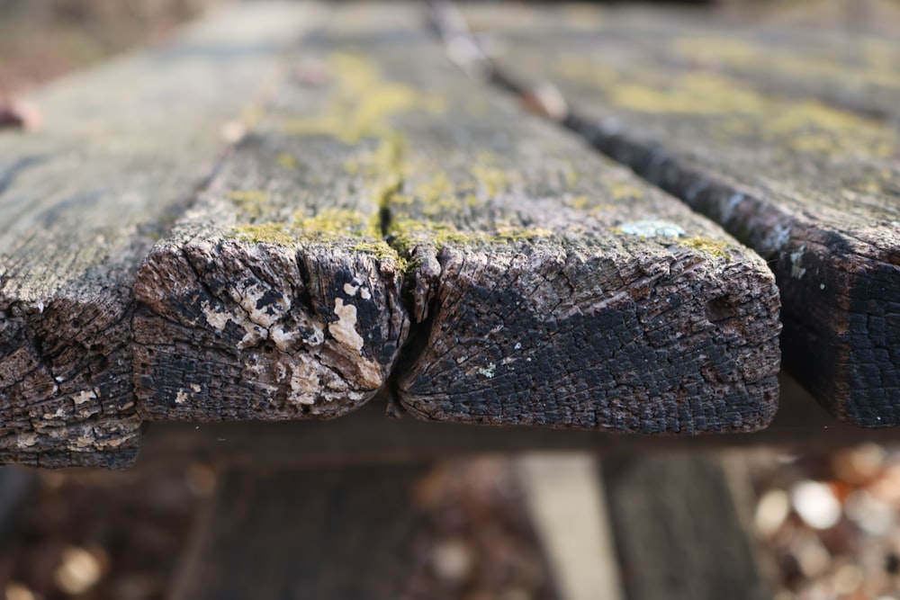 a close up of a log