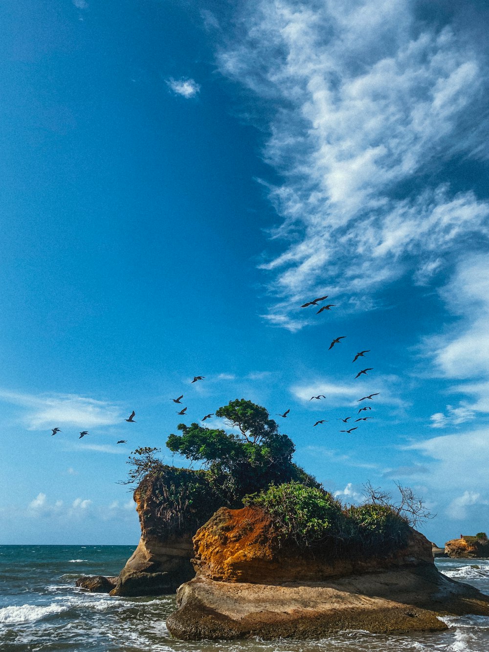 birds flying over a small island