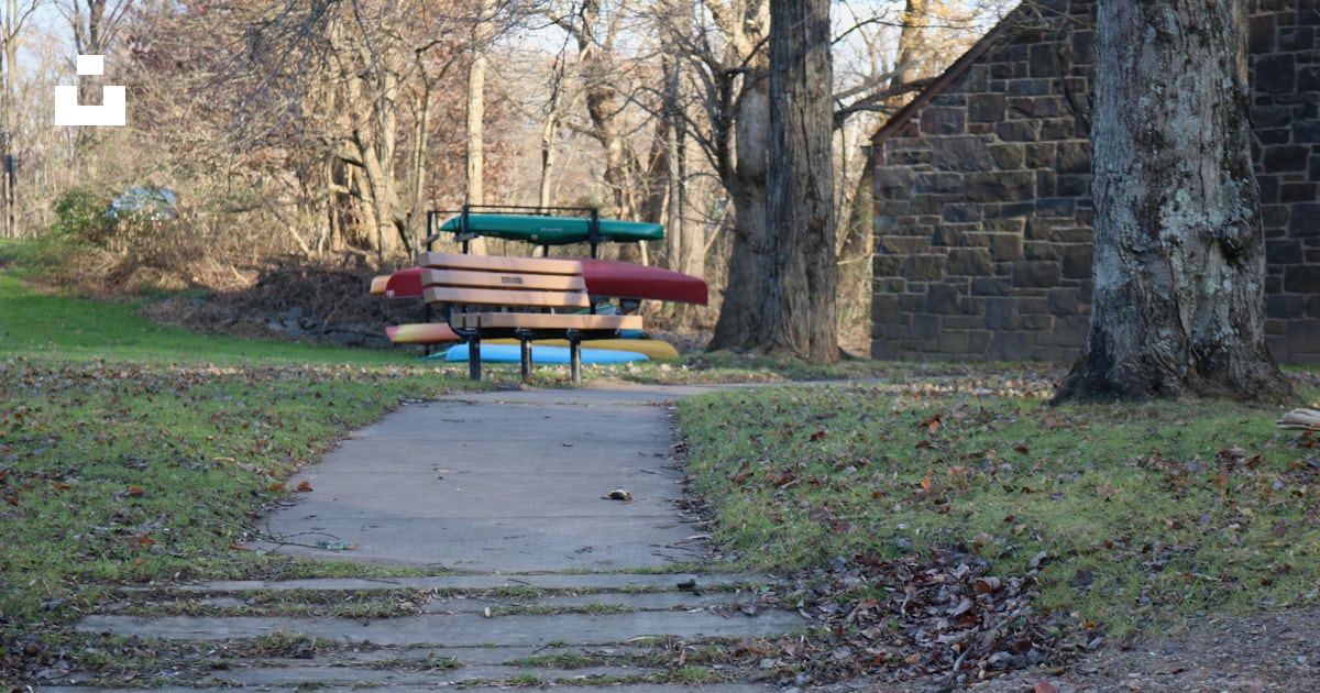 A bench on a path photo – Free Rowing Image on Unsplash