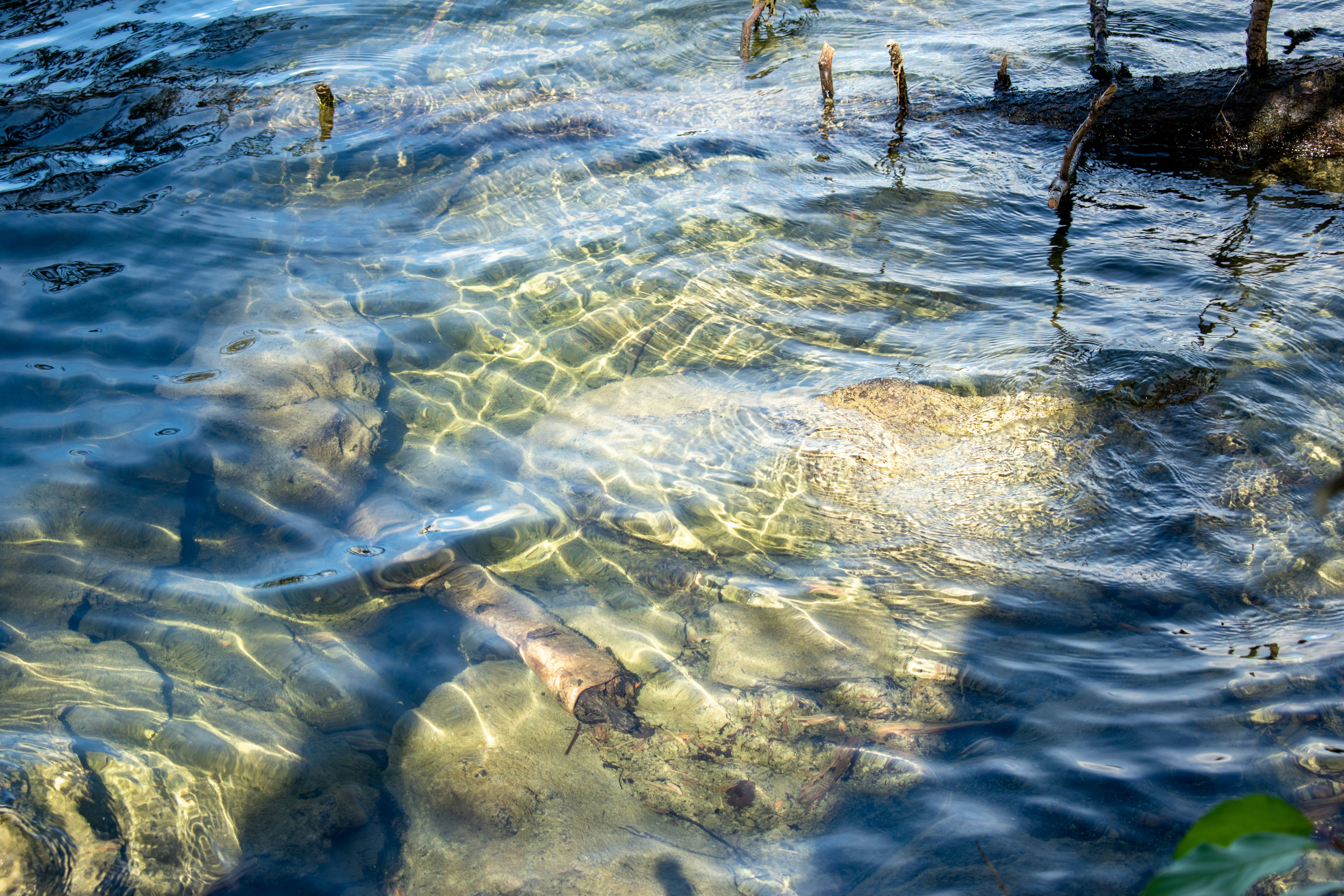 Pollution and the Microbial Response (image credits: unsplash)