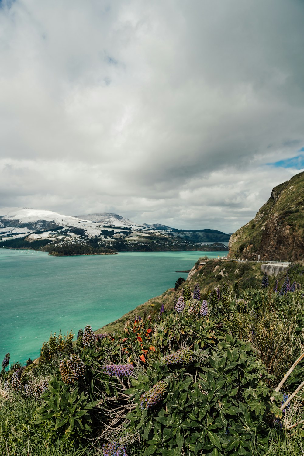 a body of water with mountains and plants around it