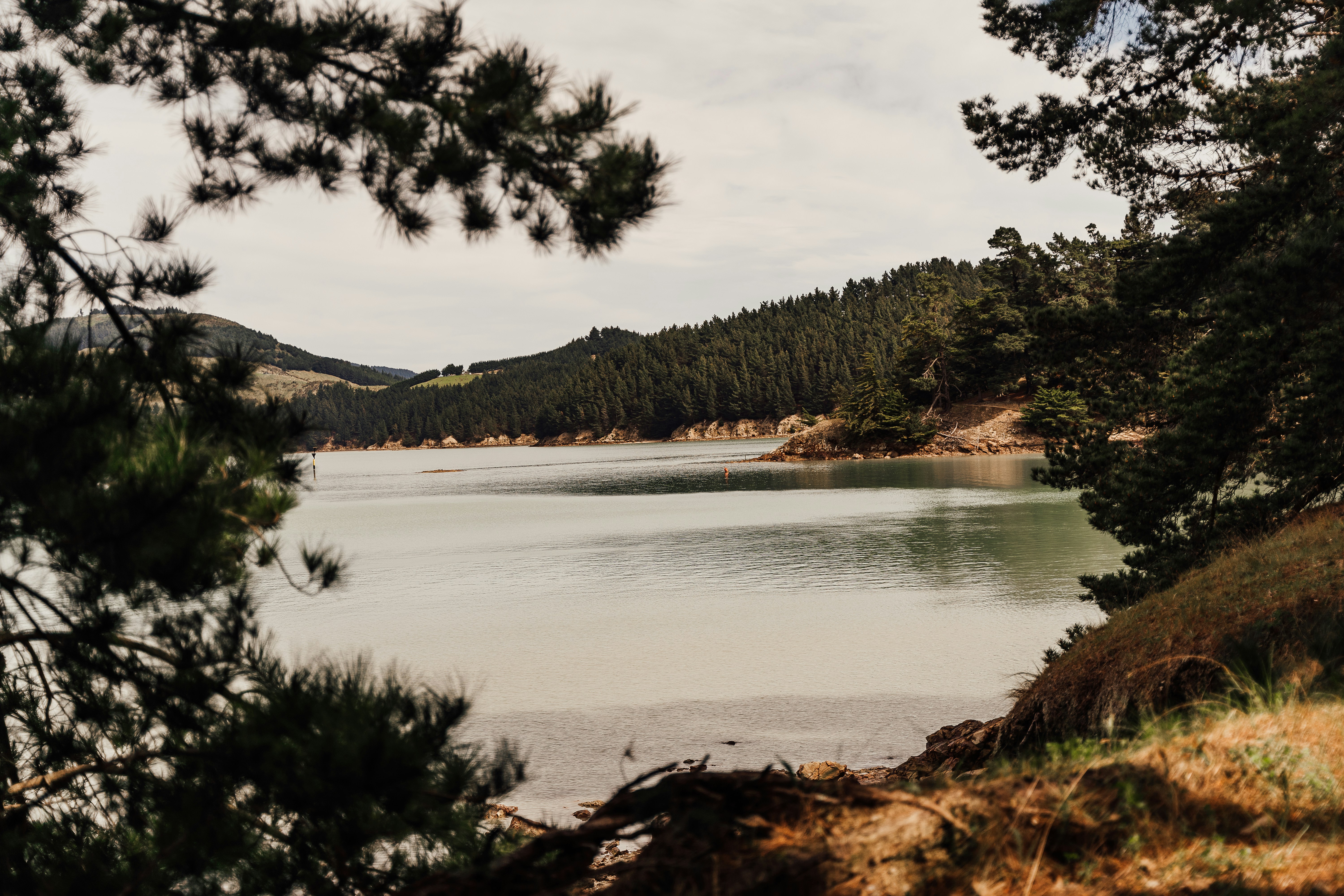 Photo by michellem18