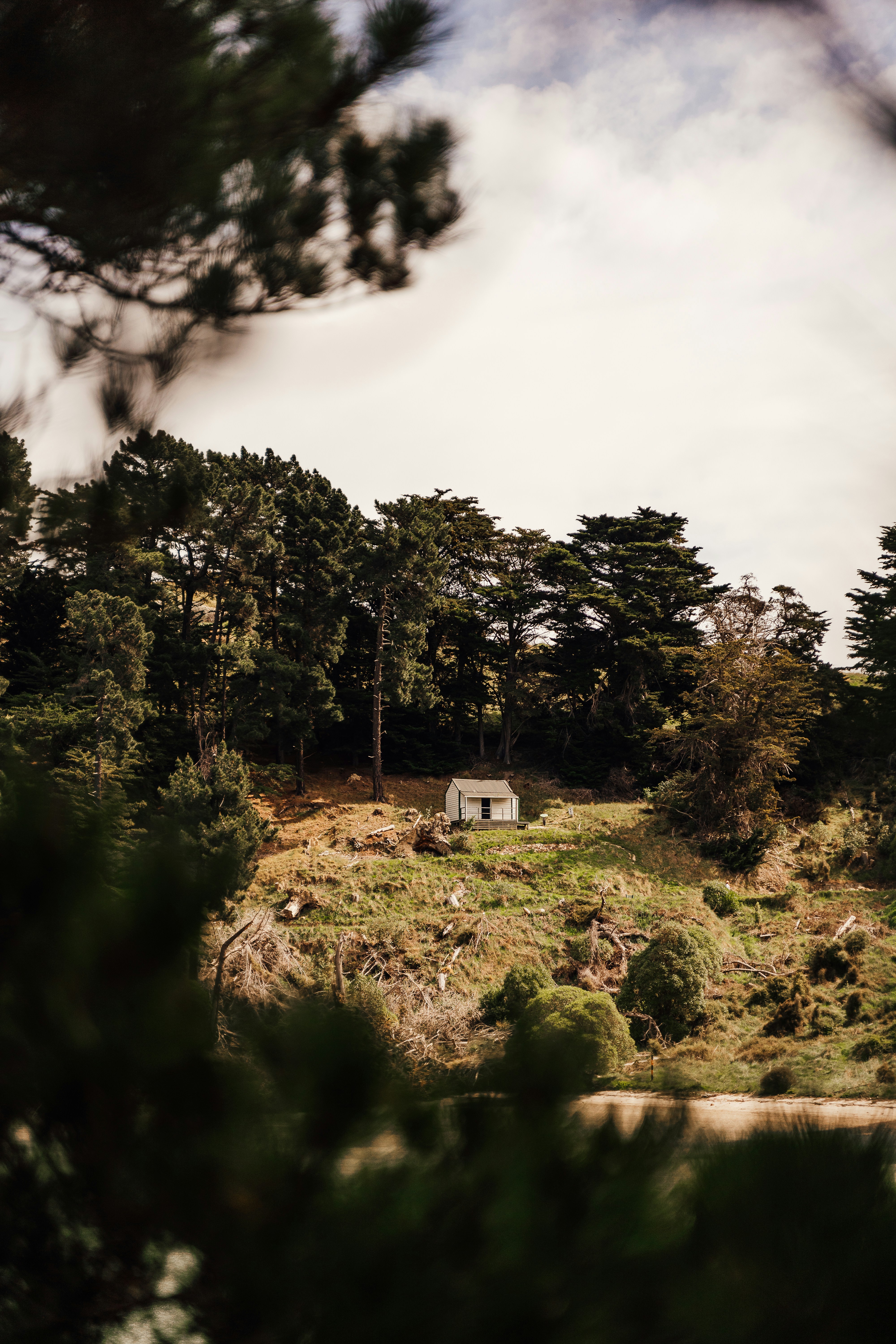 Photo by michellem18