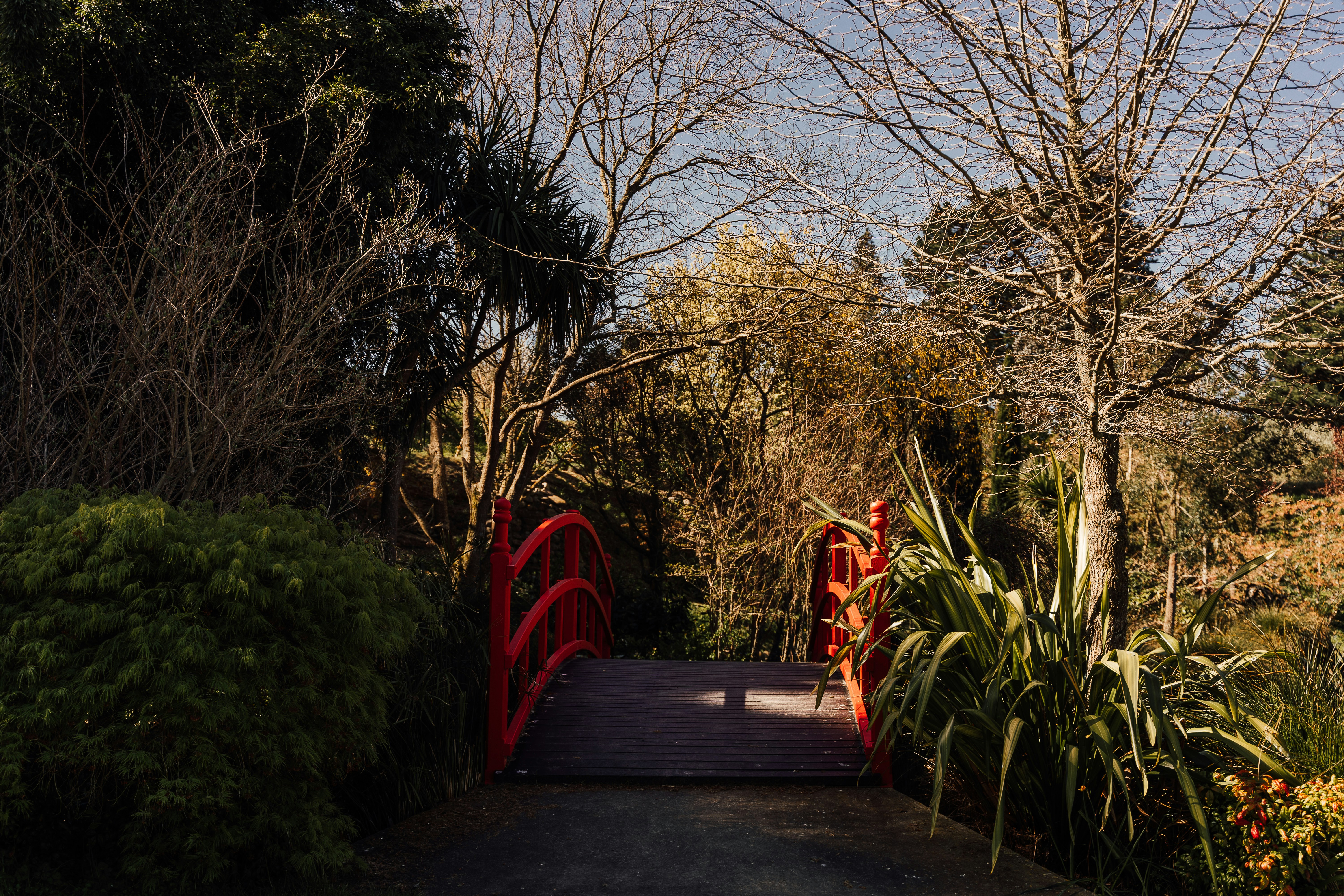 Photo by michellem18