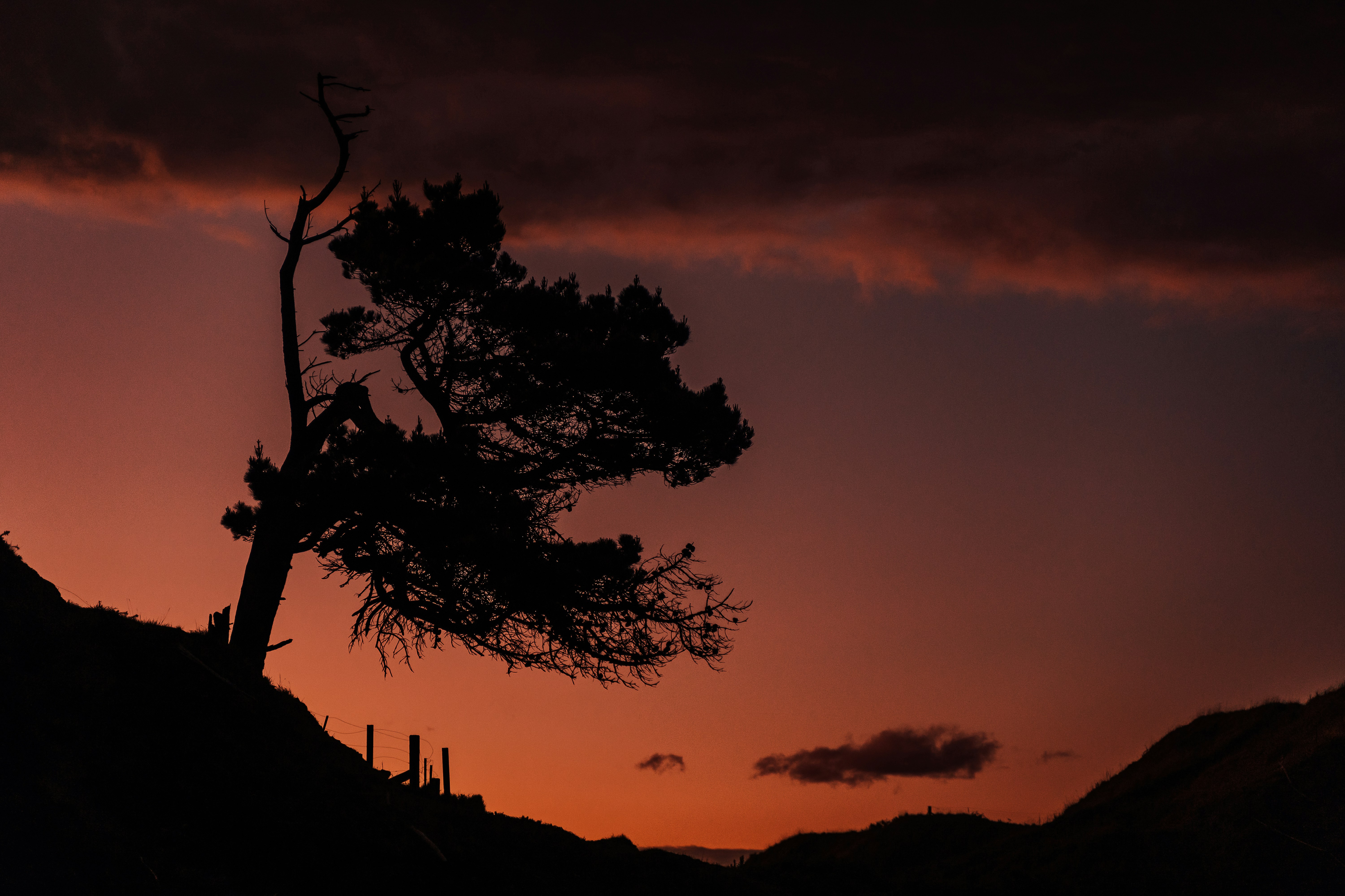 Photo by michellem18