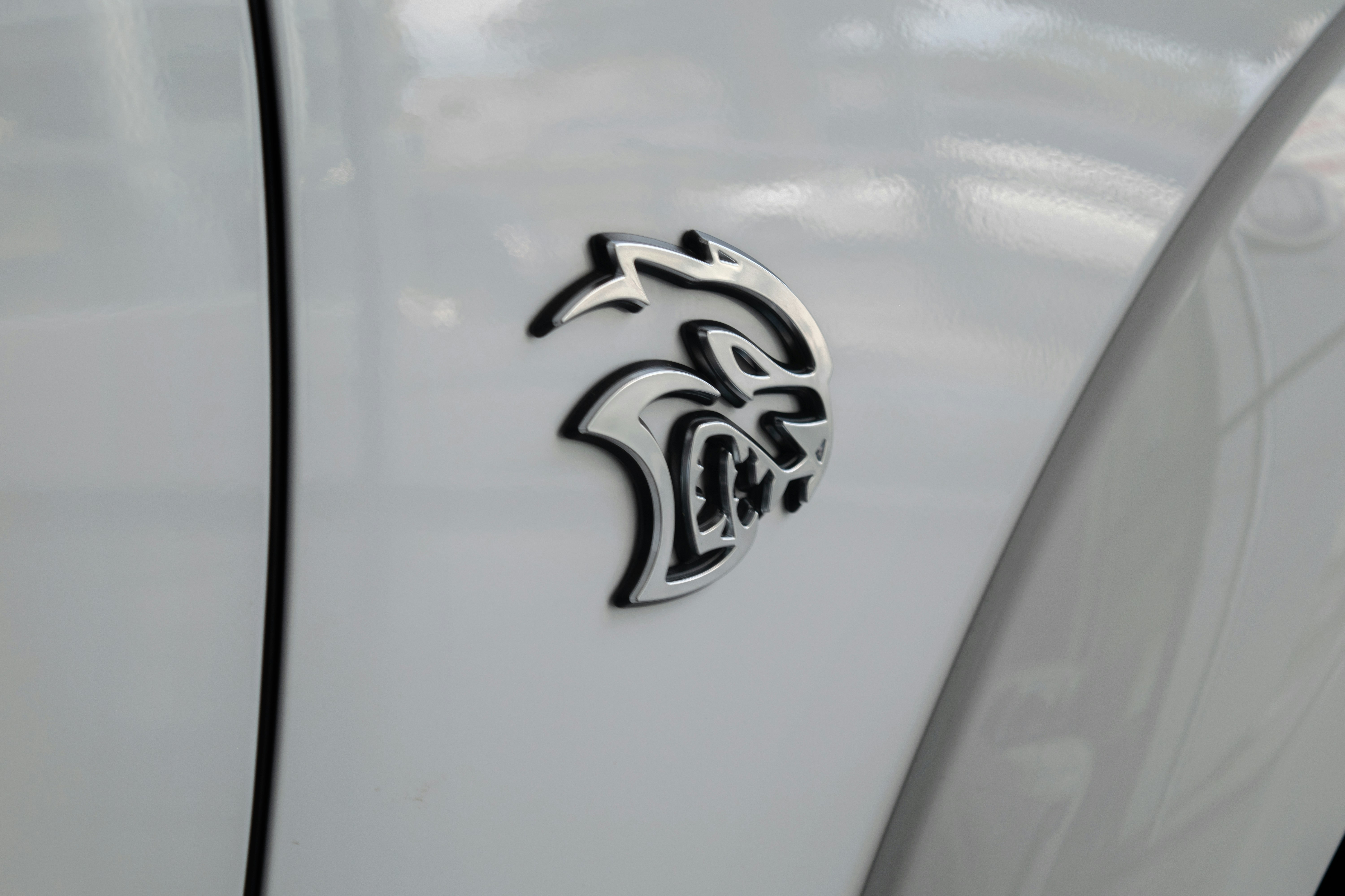 a close up of a logo