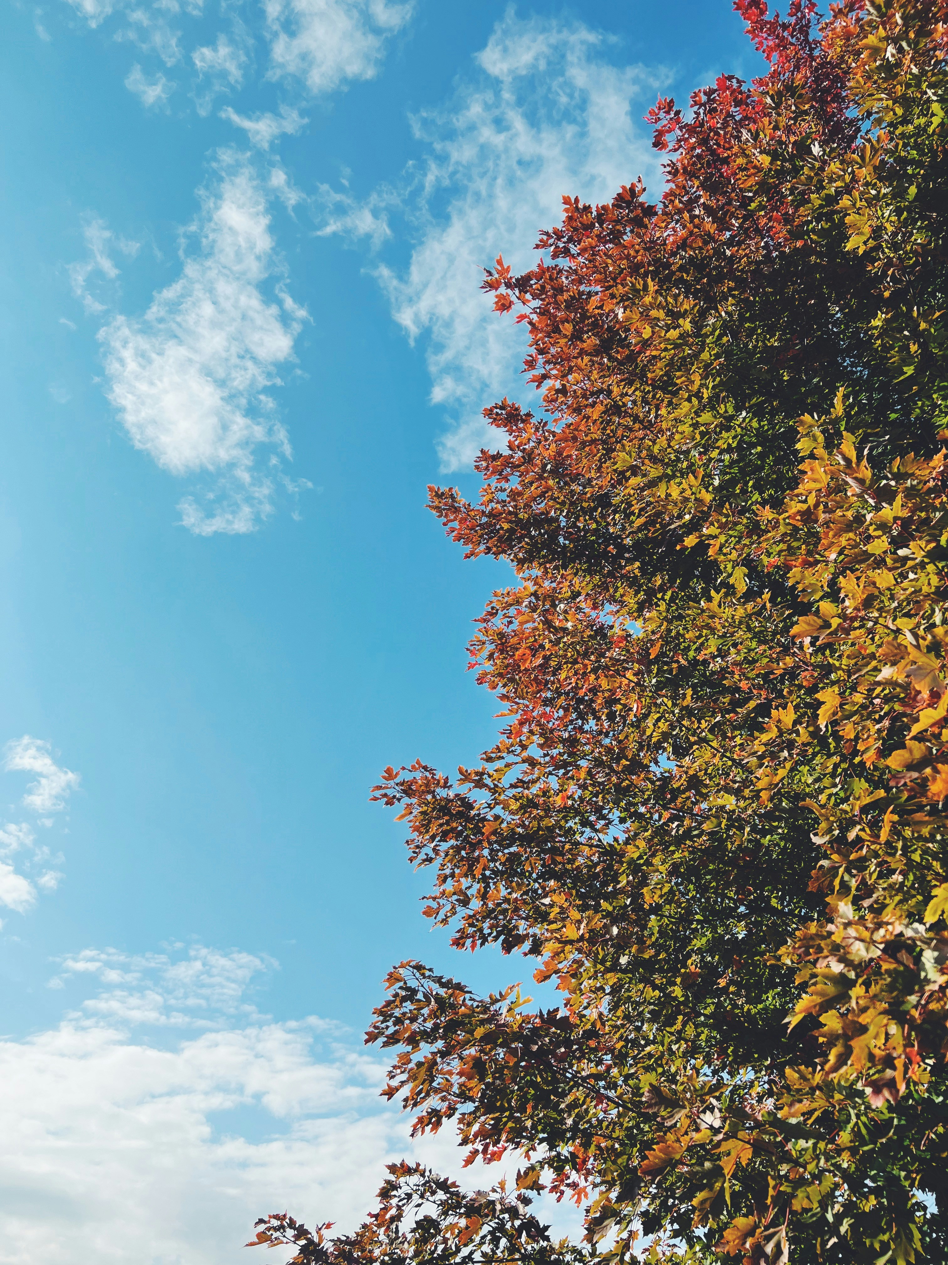 Photo by substantialbeans