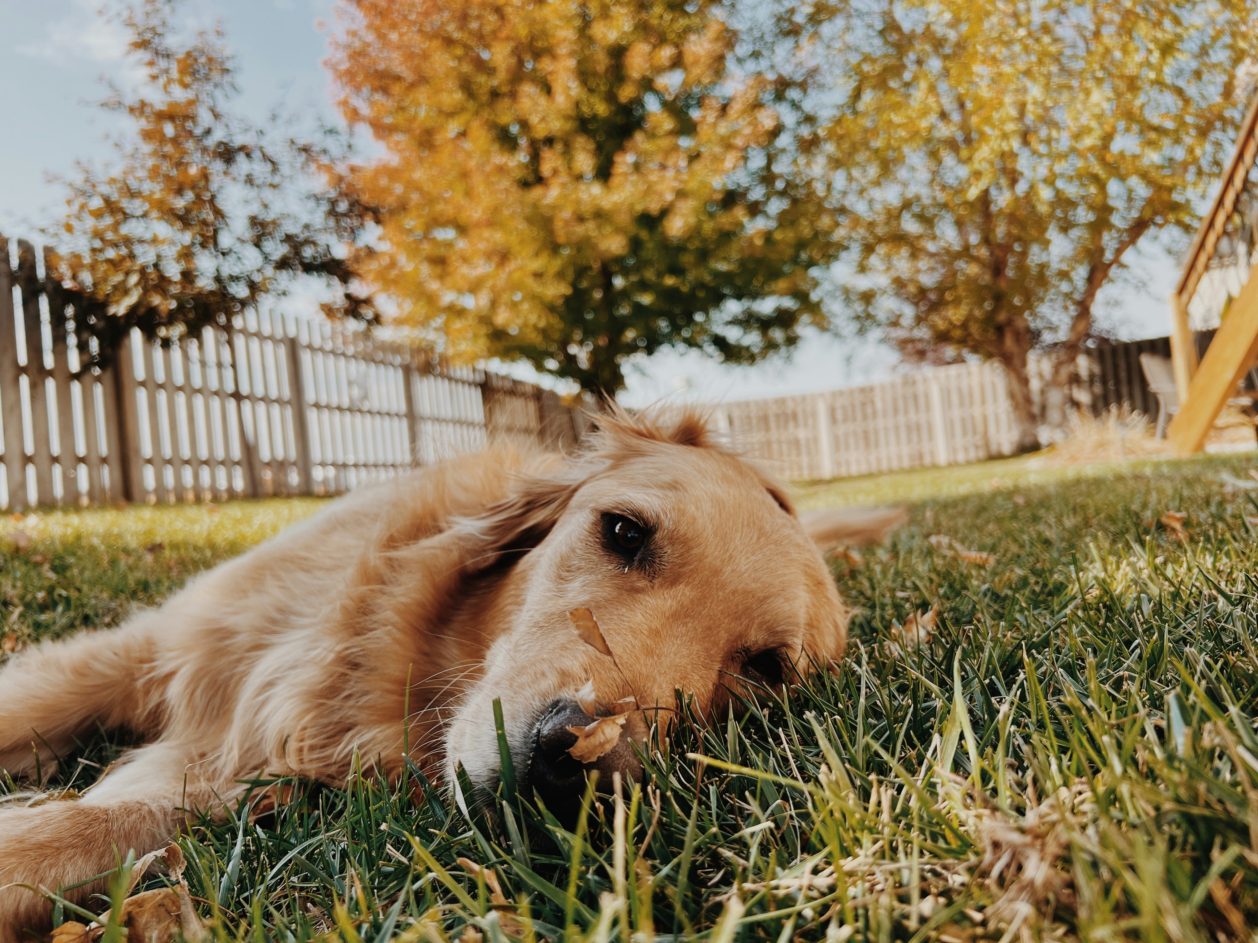 Photo by substantialbeans