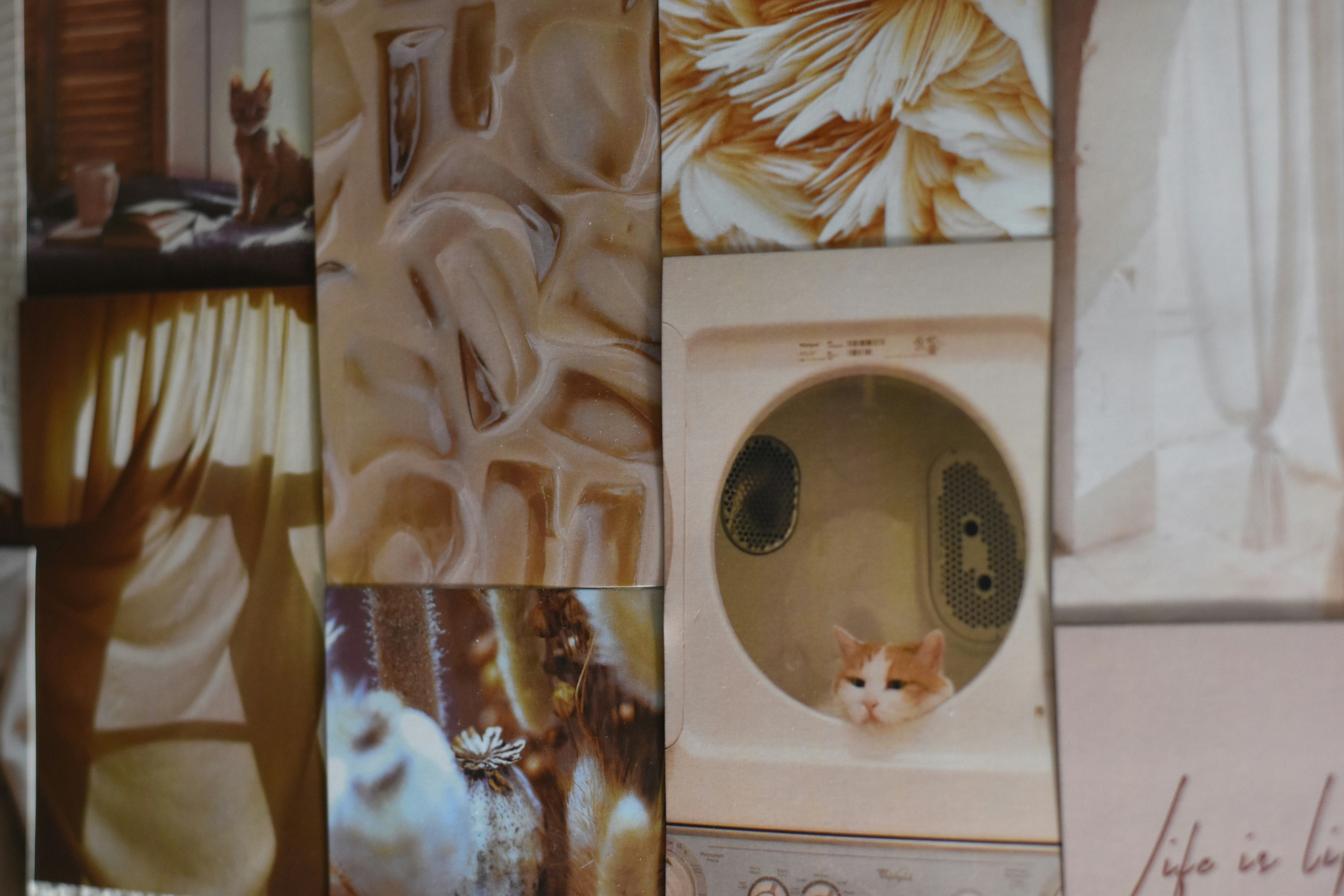 vintage interior moodboard, wallpaper, Victorian Laundry Room Color Schemes: Timeless Palette Ideas 6