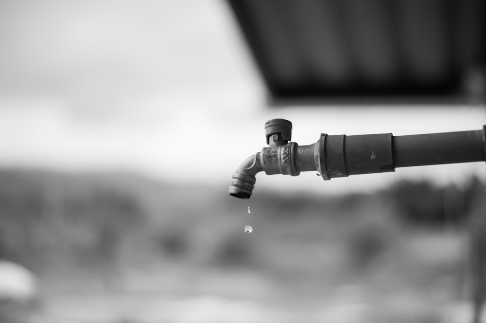 a close-up of a gun