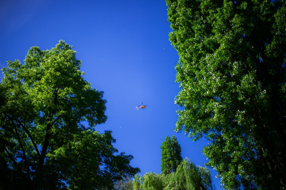 a plane flying over trees