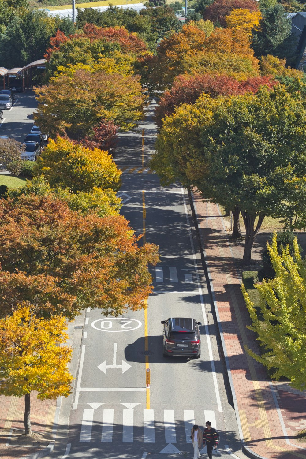 a street with trees on the side