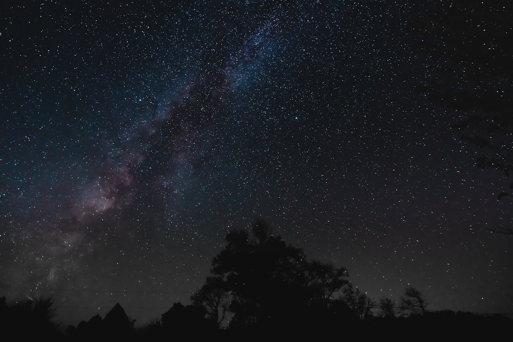 a starry night sky with trees