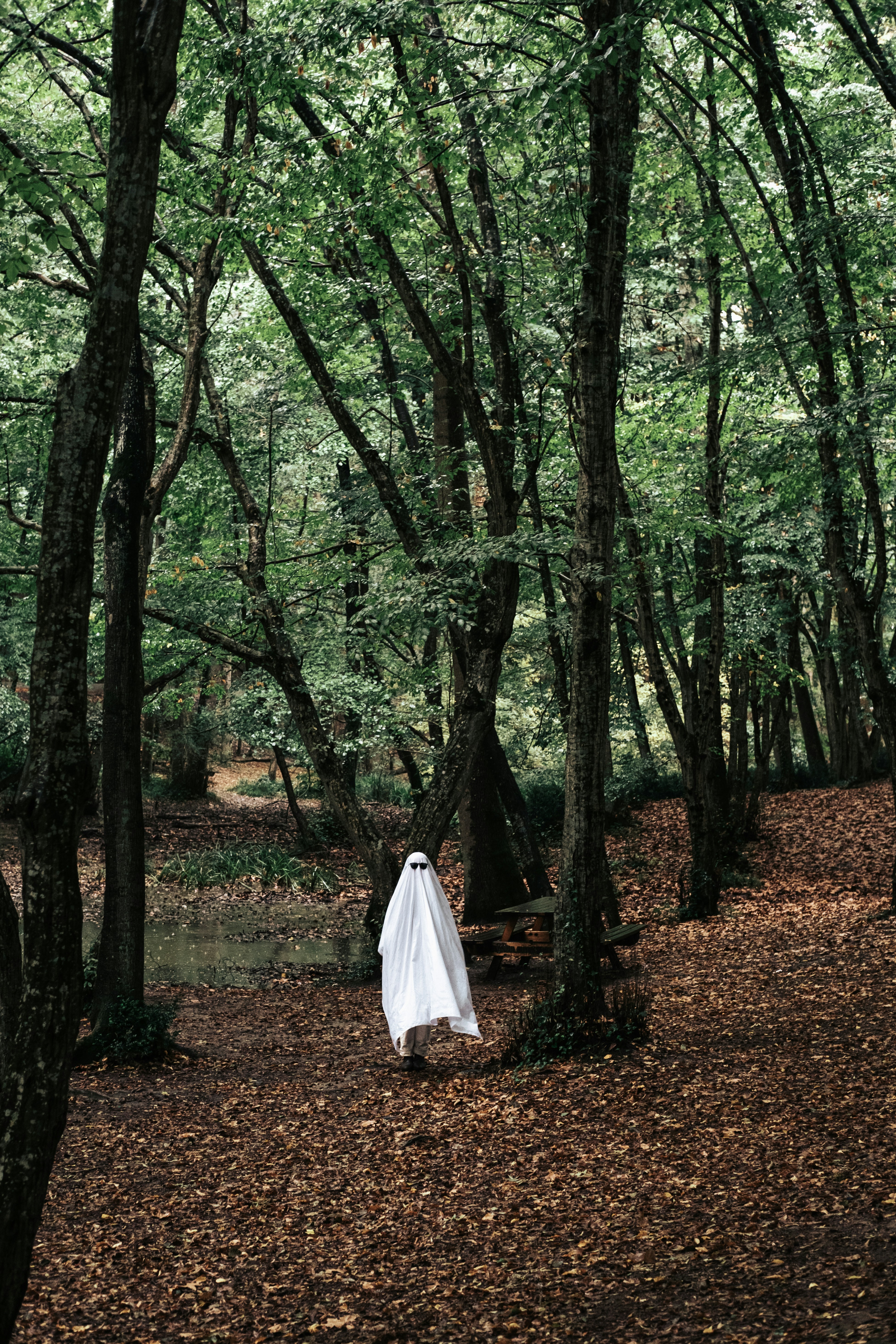 Photo by mutecevvil