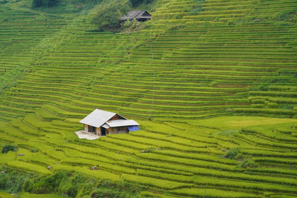 a house in a green field