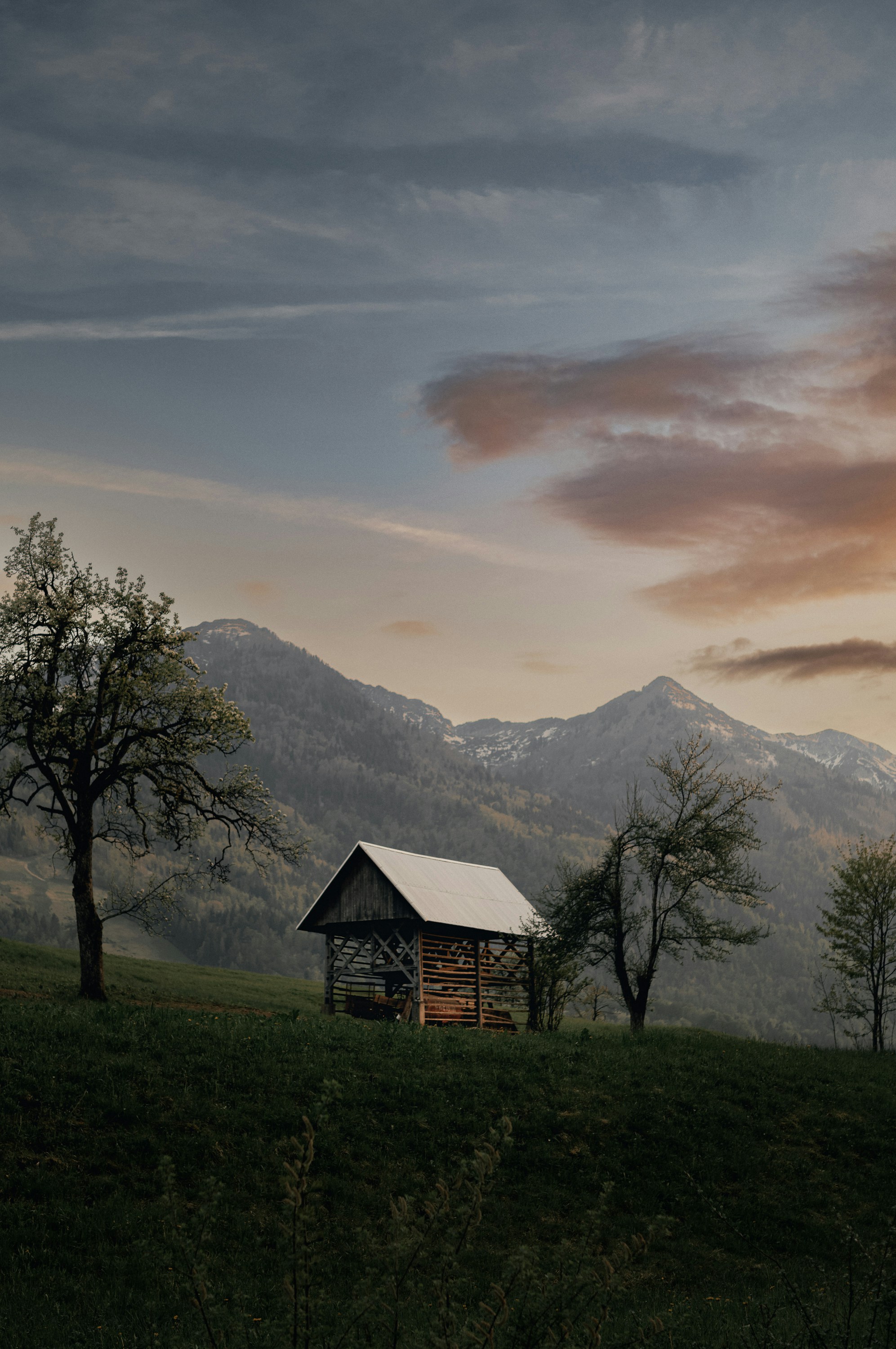 une petite cabane dans un champ herbeux avec des montagnes en arrière-plan