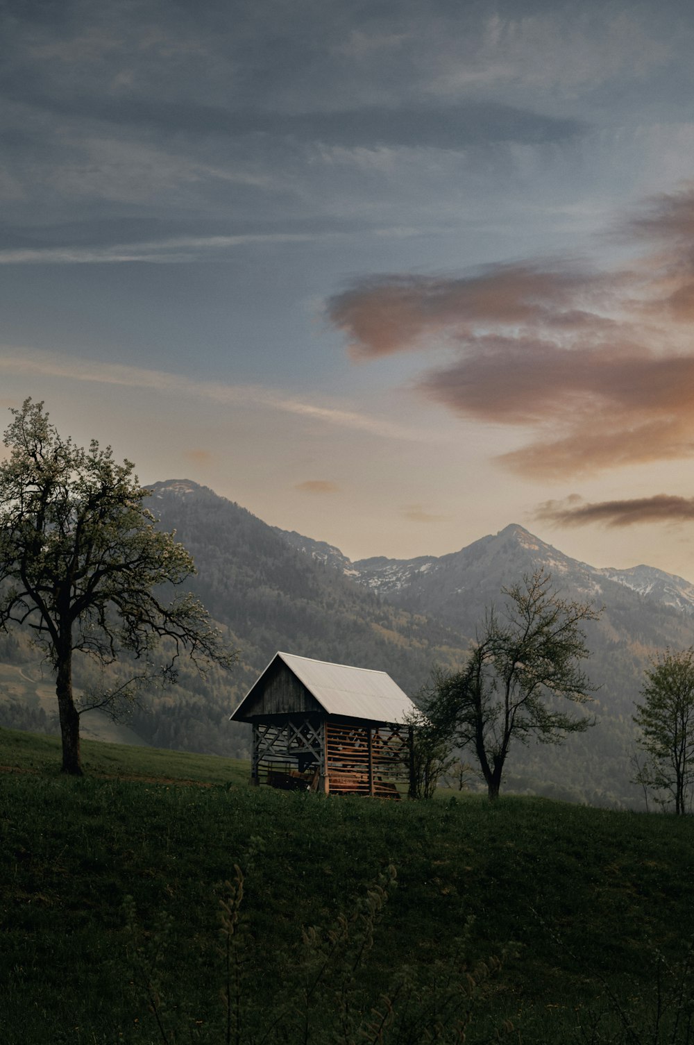 a small shack in a grassy field with mountains in the background