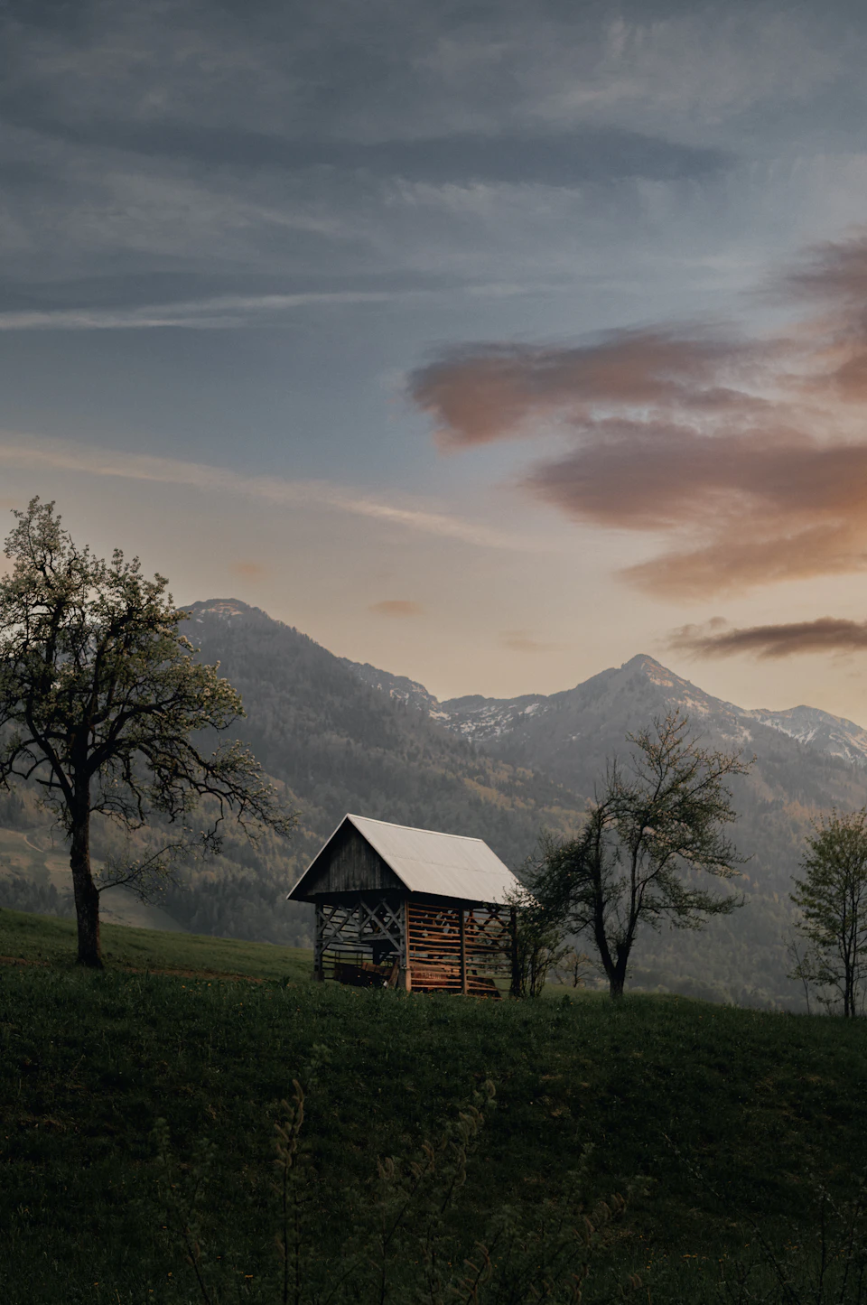 The image depicts a serene rural landscape with a small wooden cabin nestled on a grassy hill, surrounded by trees and mountains. The cabin has a white roof that blends harmoniously with the surrounding greenery. In the distance, snow-capped mountains rise against an overcast sky, creating a breathtaking backdrop for the scene. The colors in the image are predominantly green from the vegetation and browns from the wooden cabin and mountains.