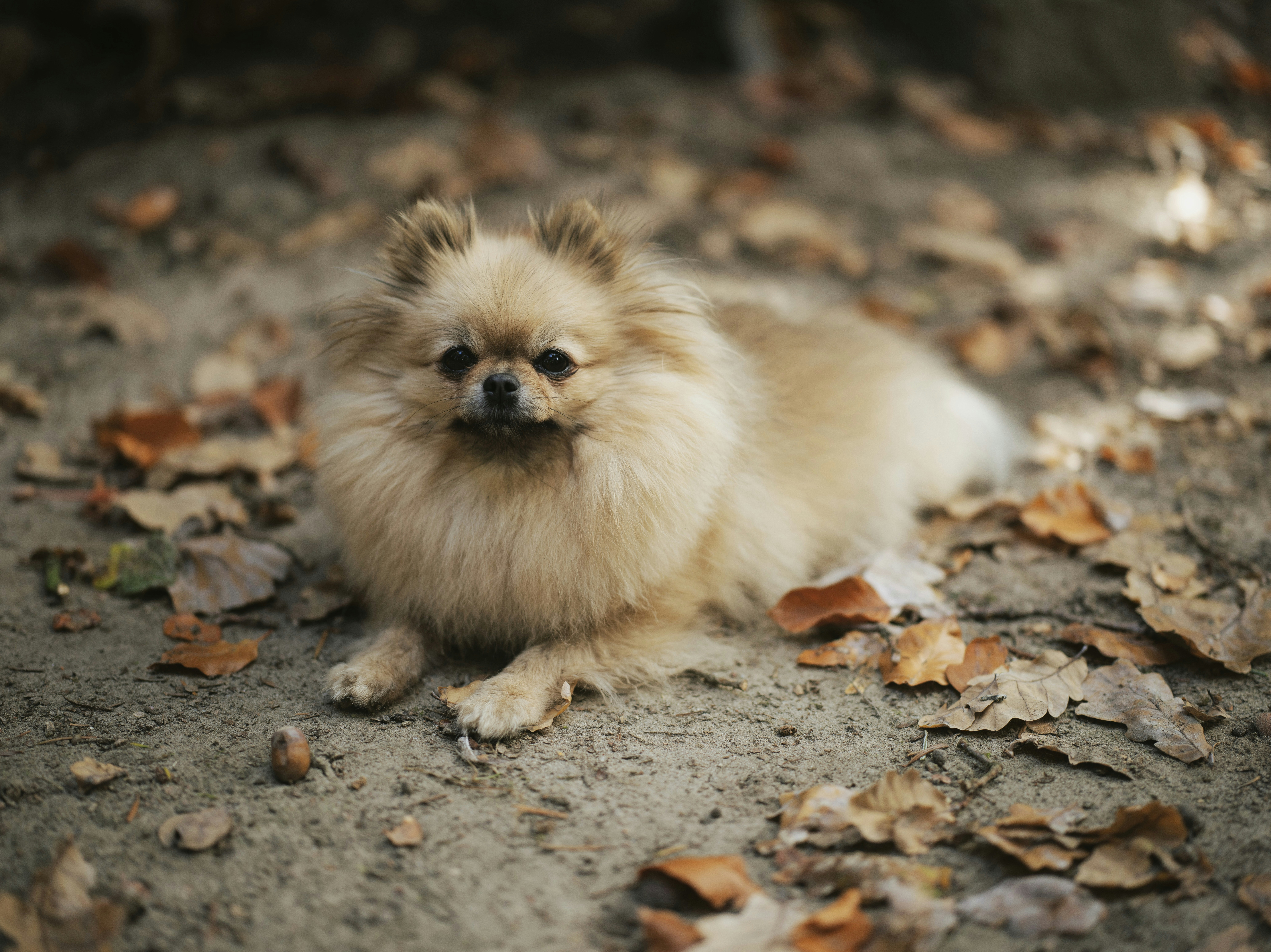 Photo by egorkomarov