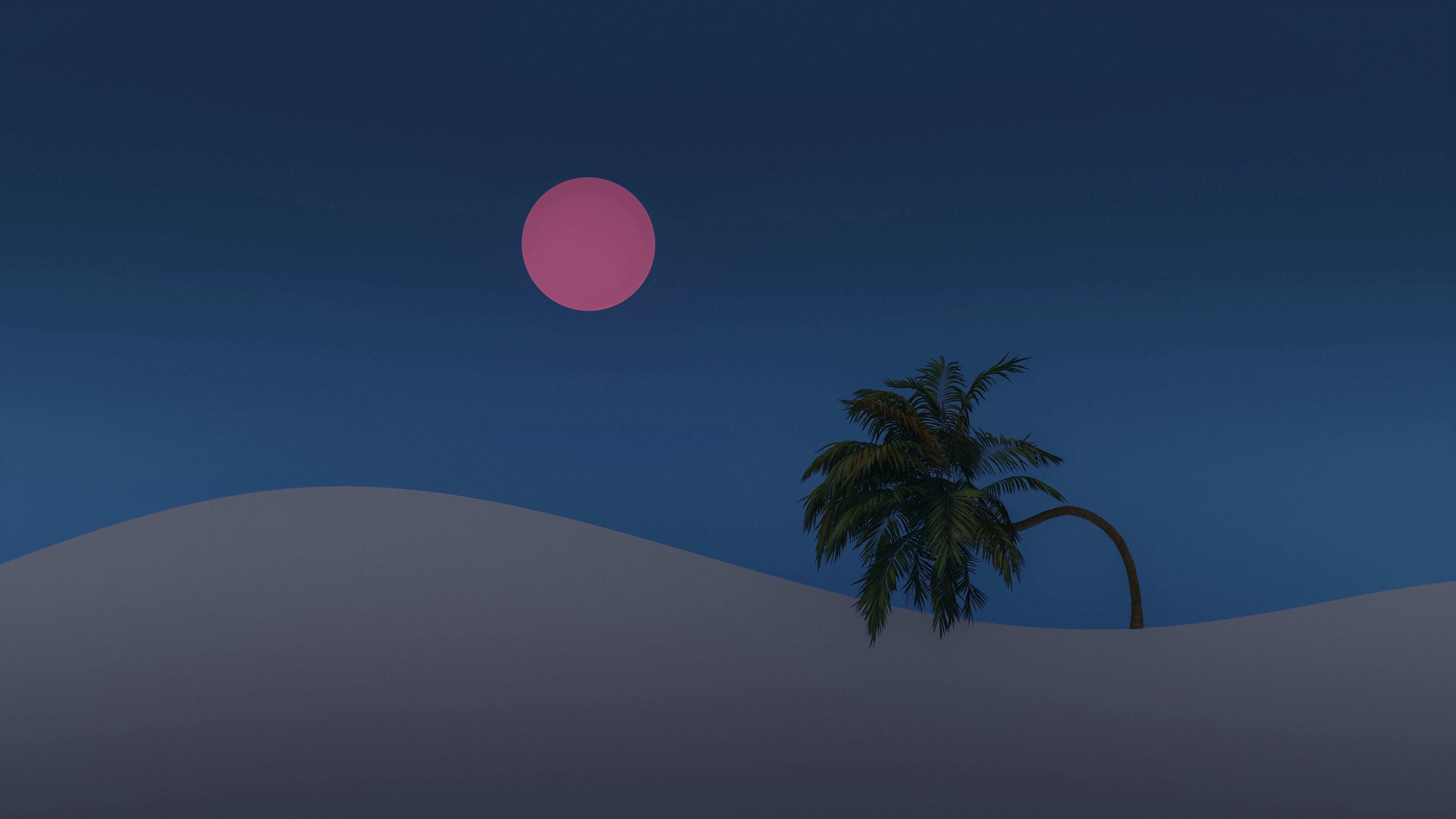 Photo by pramodtiwari