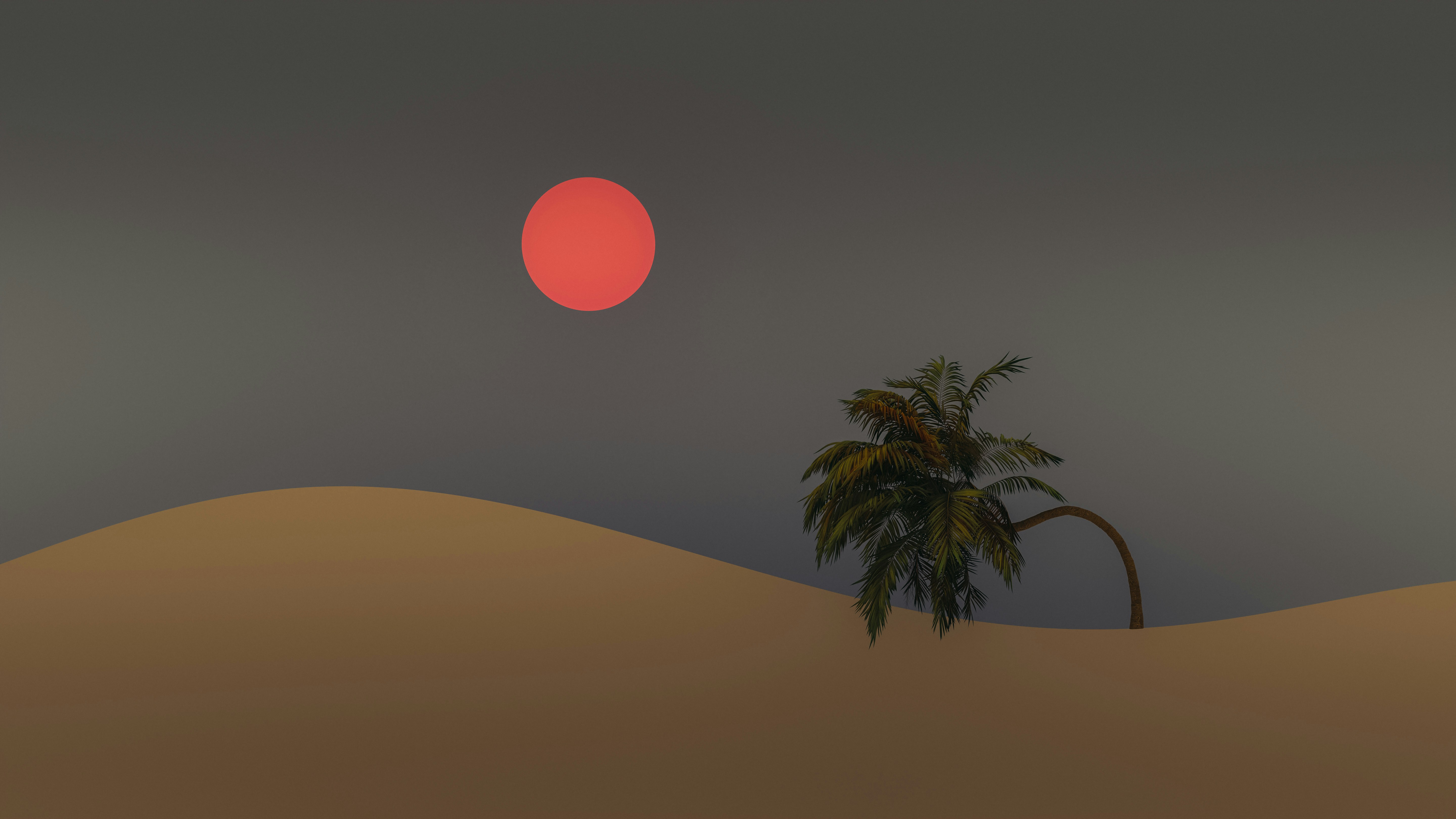 Photo by pramodtiwari