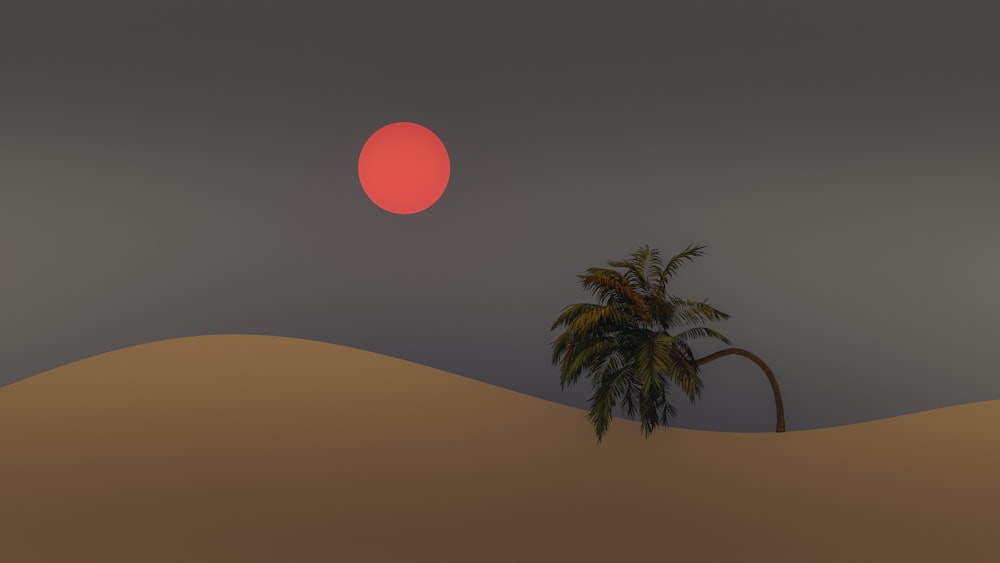 a palm tree in the desert