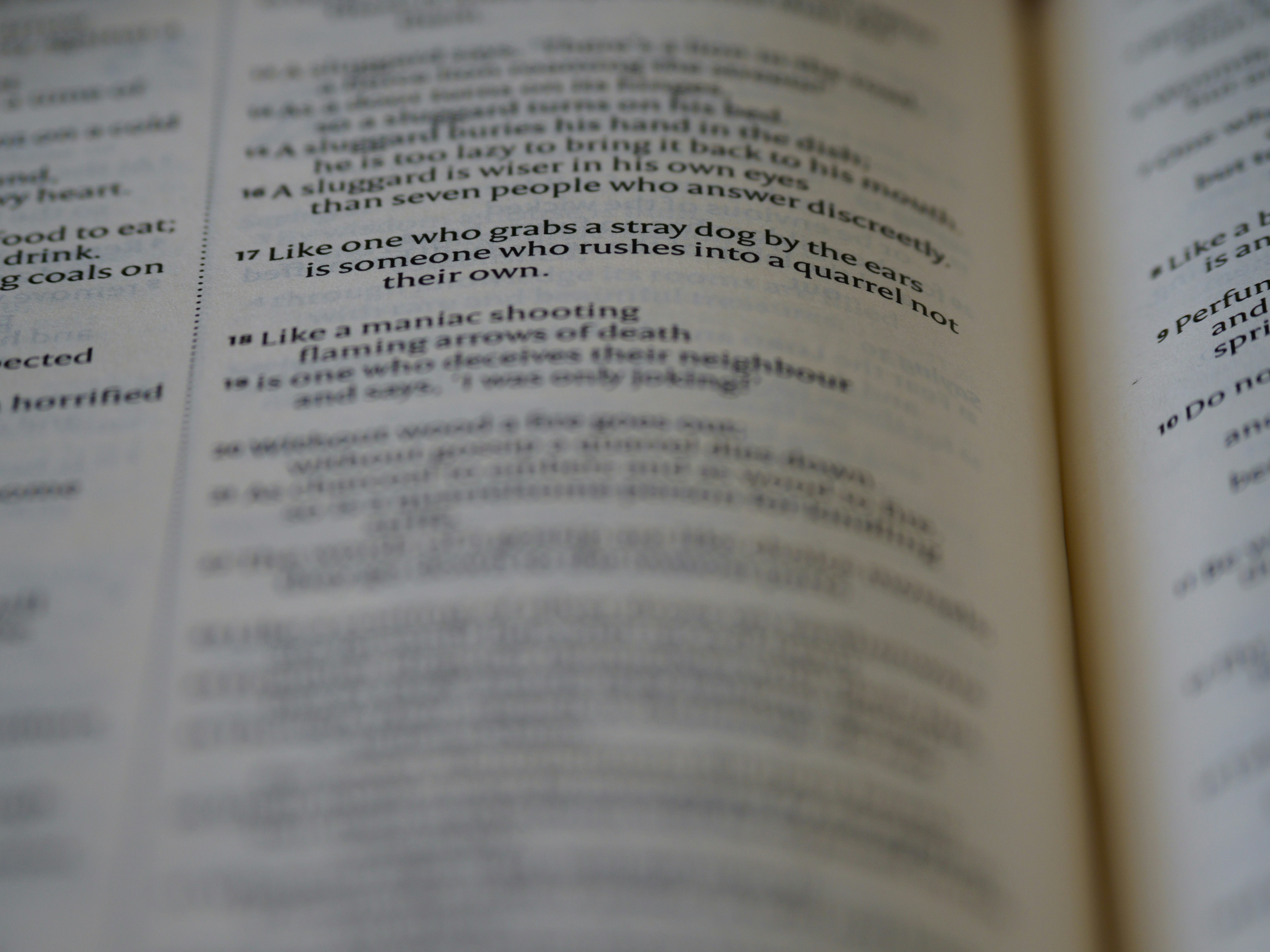 Photo by brett_jordan