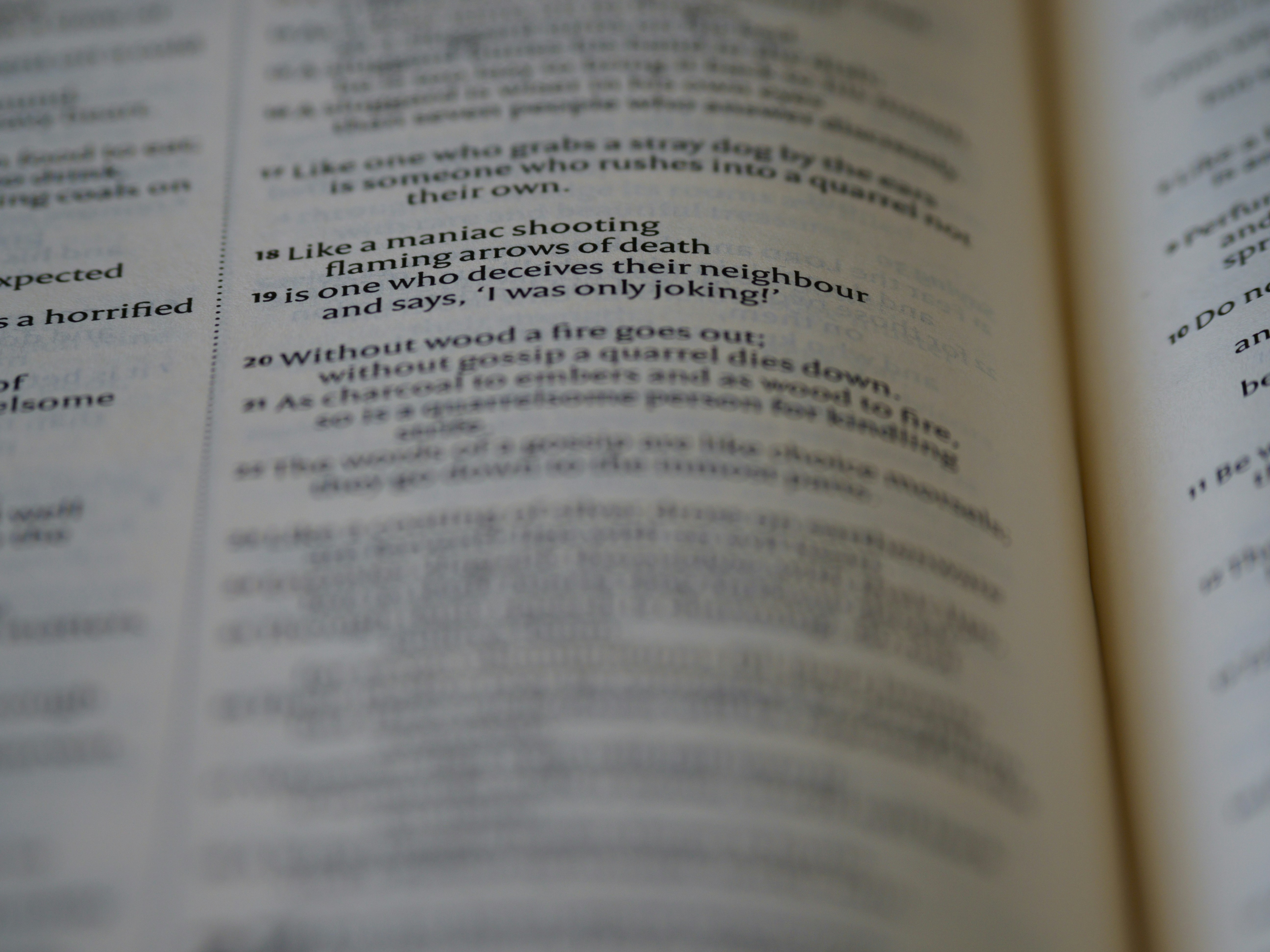 Photo by brett_jordan