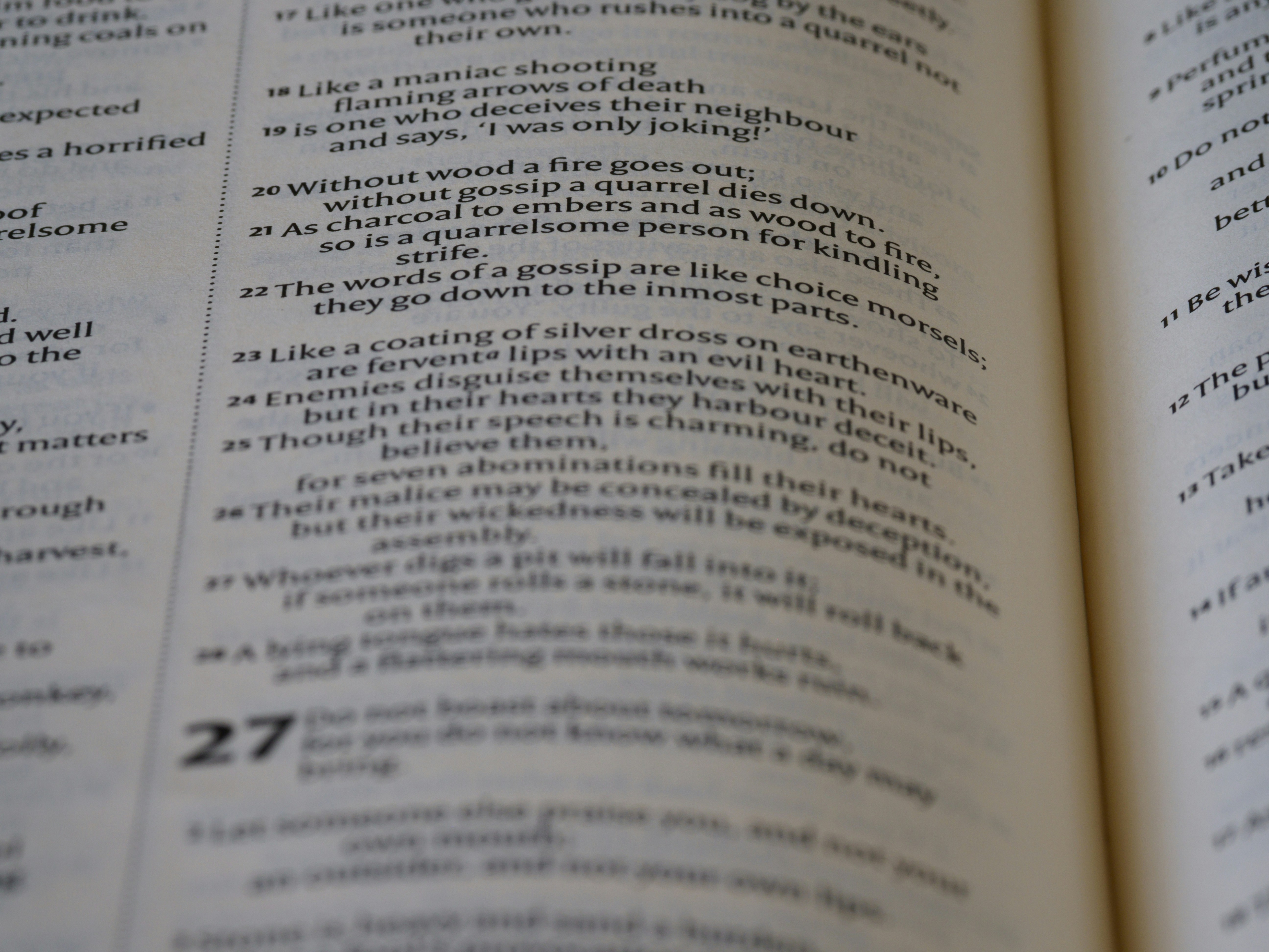 텍스트가있는 열린 책