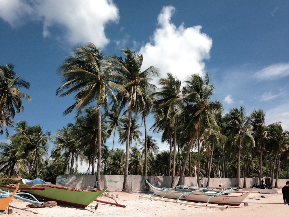 a beach with palm trees and boats