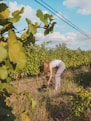 a man bending over to touch a tree