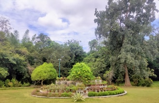 A wide shot of a completed garden project showcasing a blend of greenery and decorative elements.
