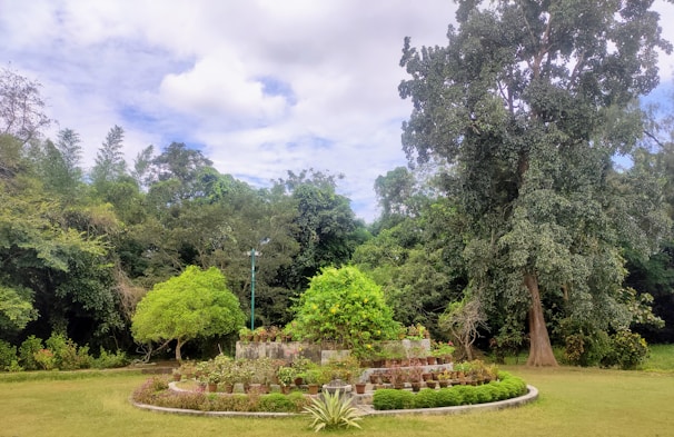 A wide shot of a completed garden project showcasing a blend of greenery and decorative elements.