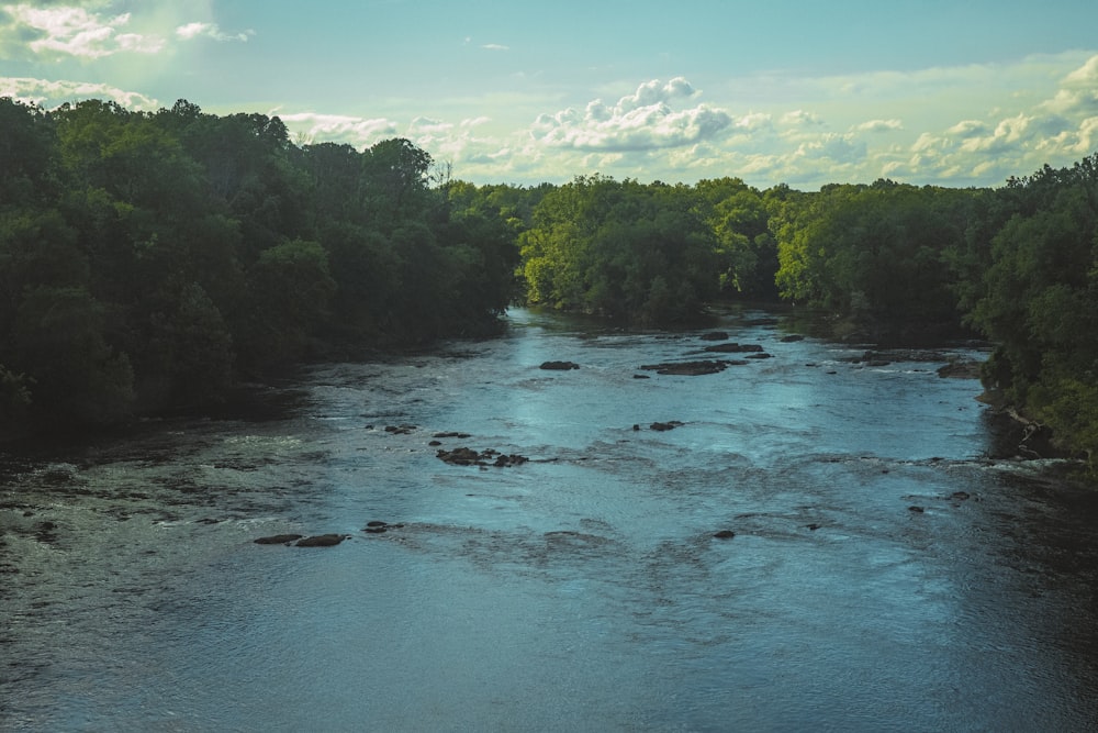 a river with trees on the side