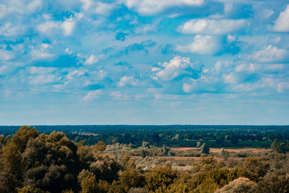 a landscape with trees and blue sky