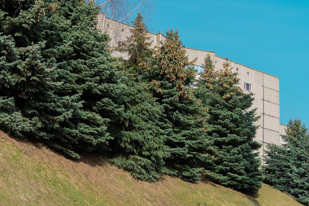 a building with trees in front of it