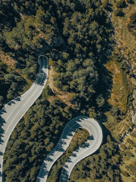a winding road through a forest