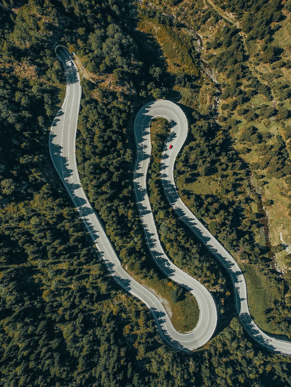 a river flowing through a forest