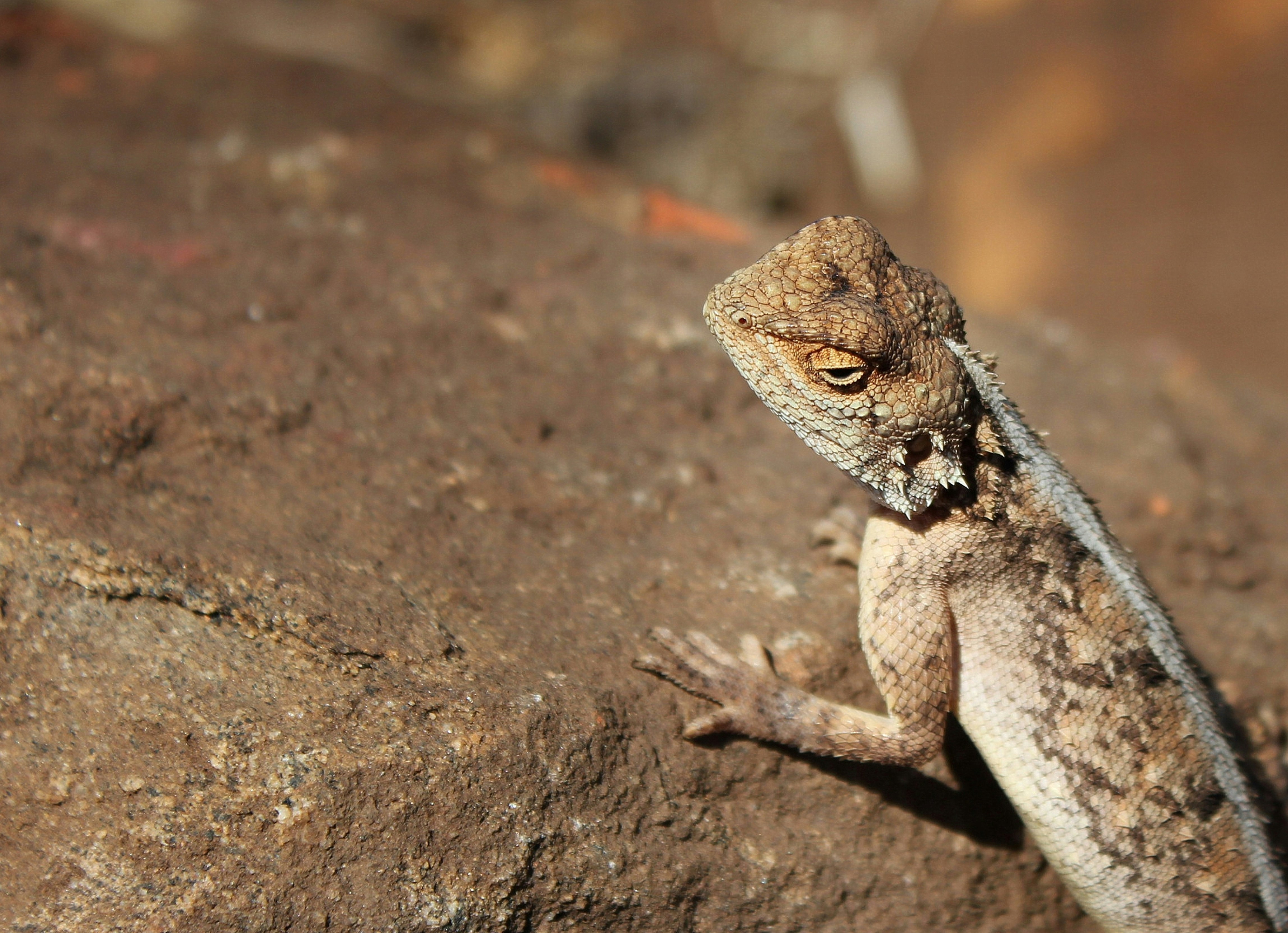 Photo by craigmanners_com