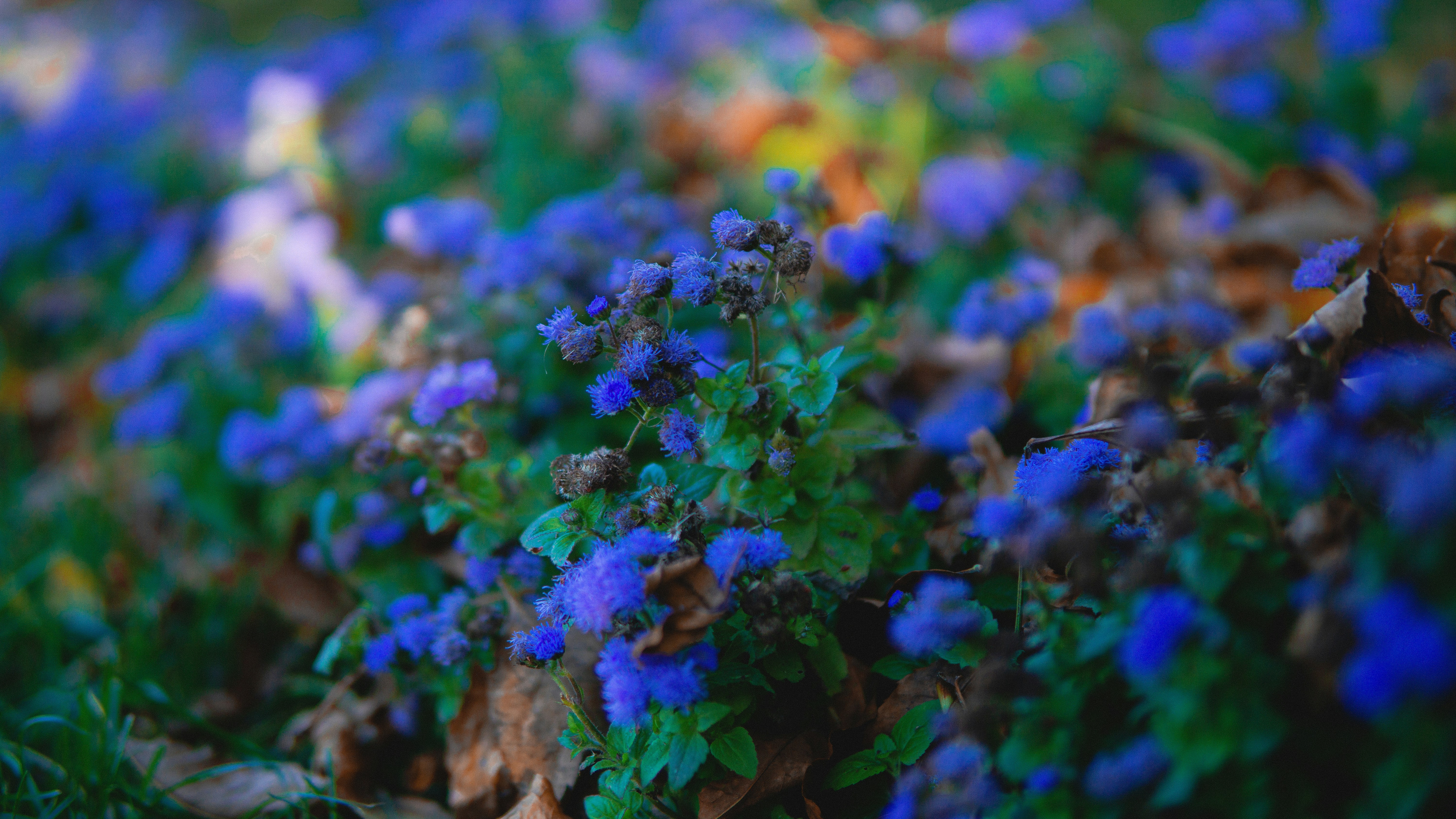 Photo by gaspitheartist