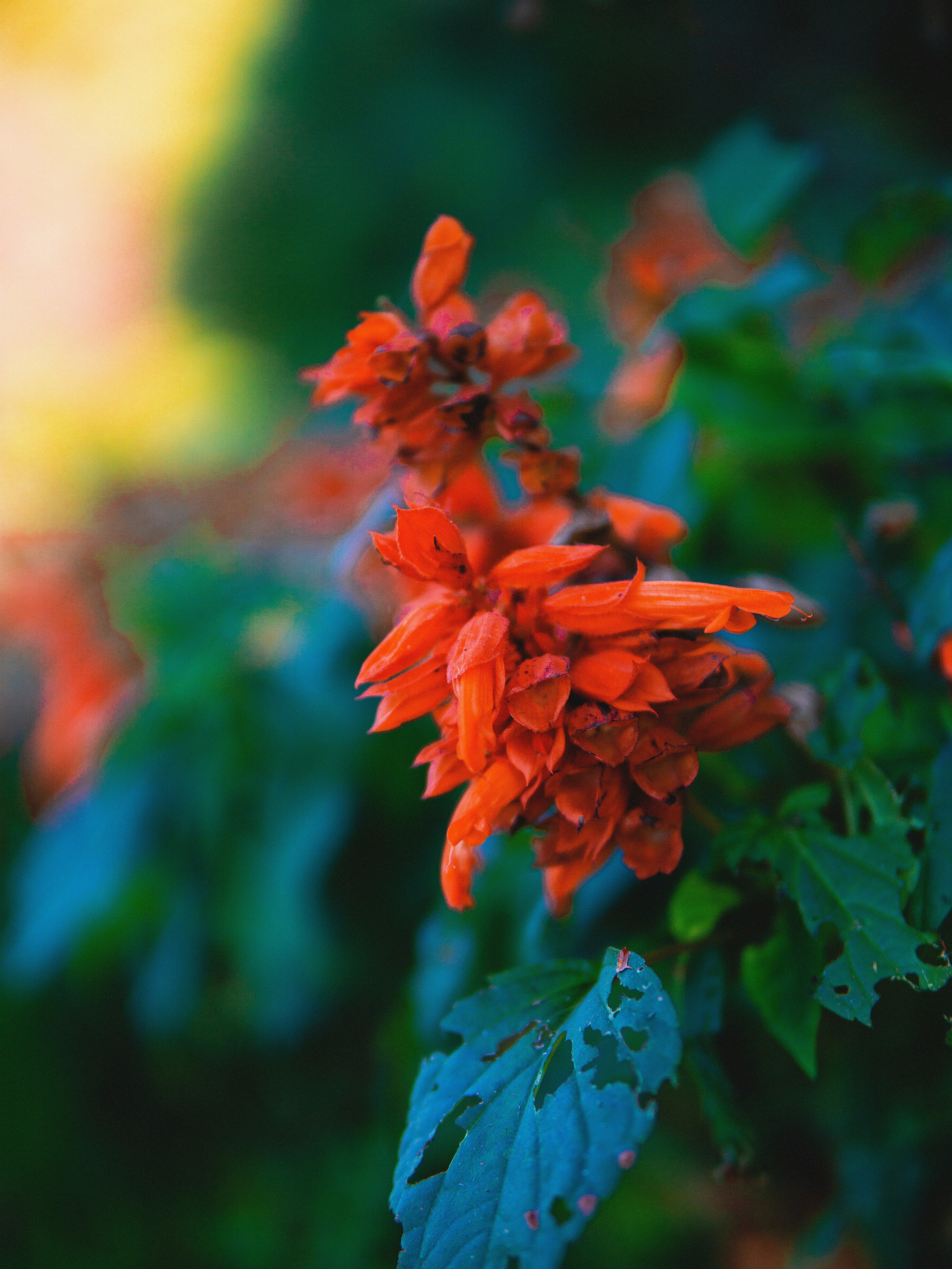 Photo by gaspitheartist