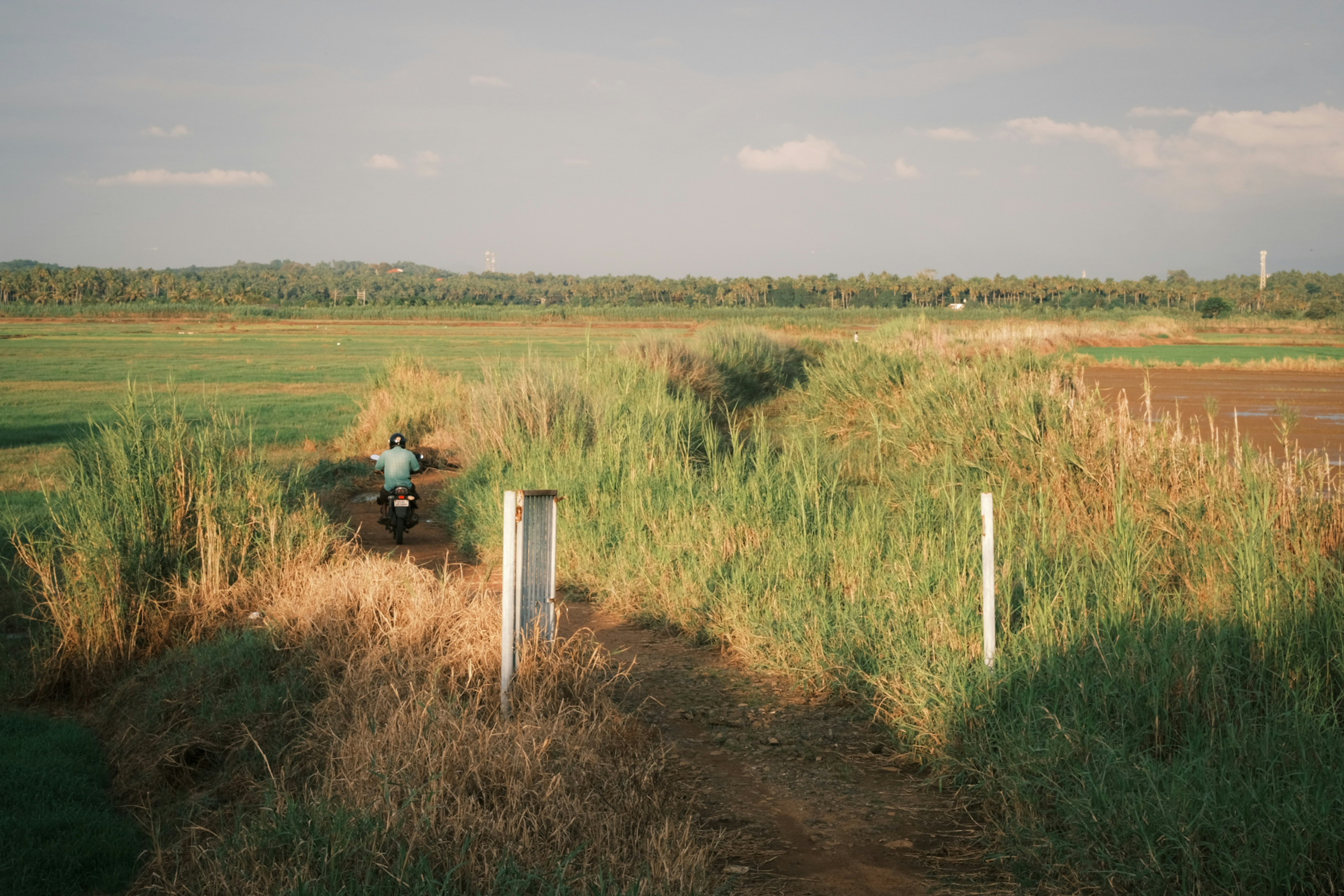 a person riding a motorcycle on a dirt path in a field