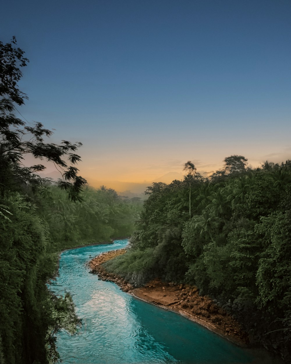 a river with trees on the side