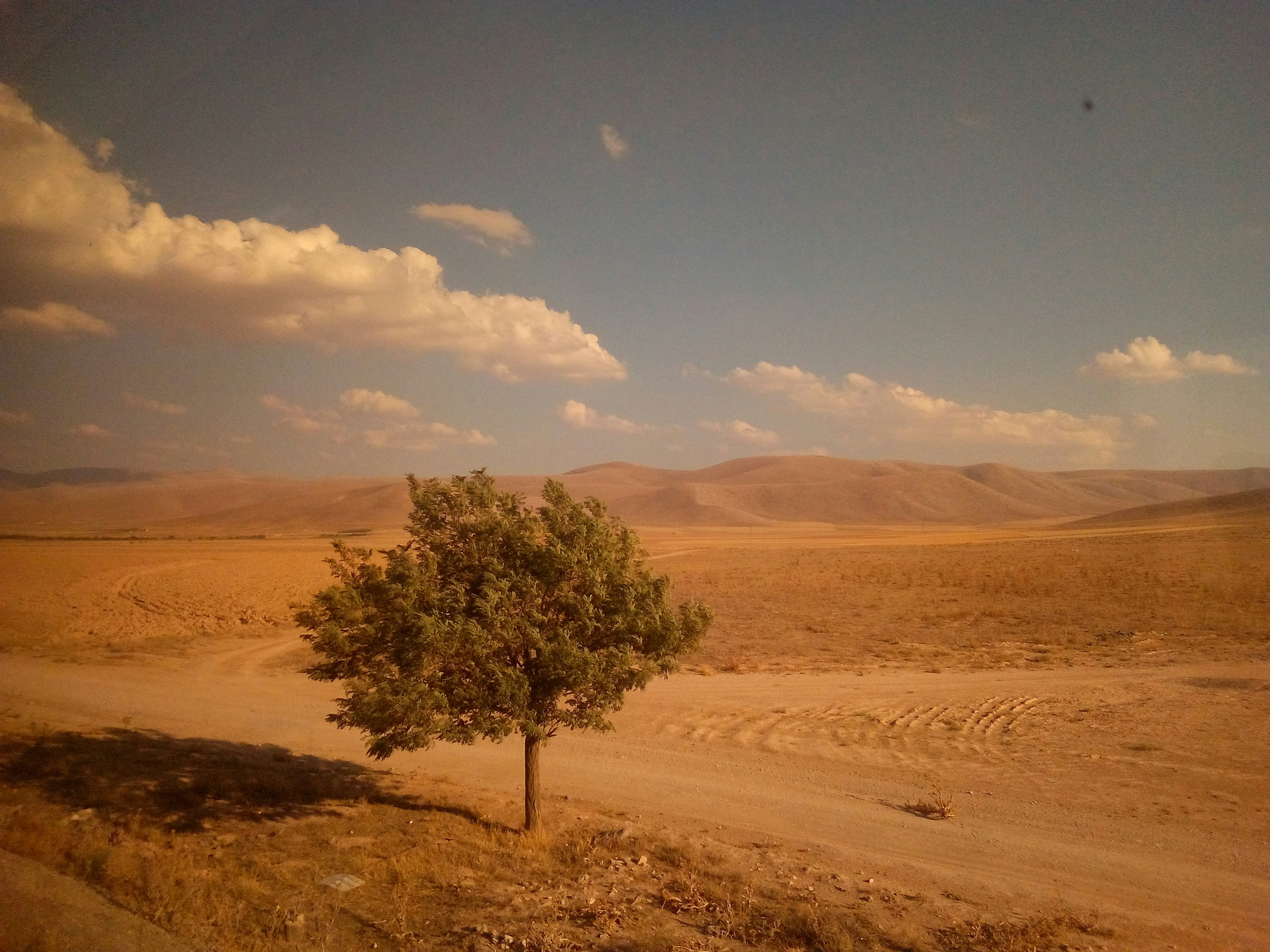 Photo by sevdacelik