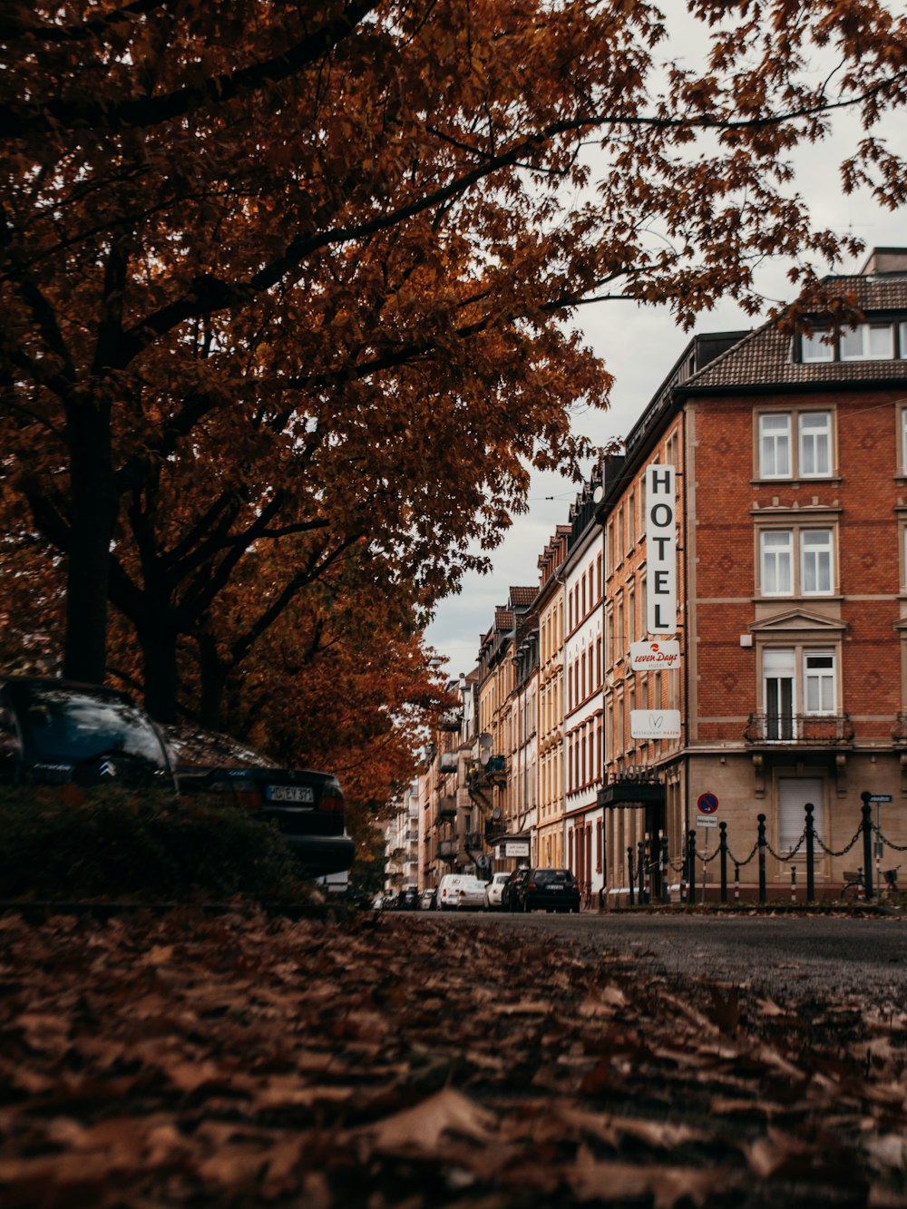 a tree next to a building