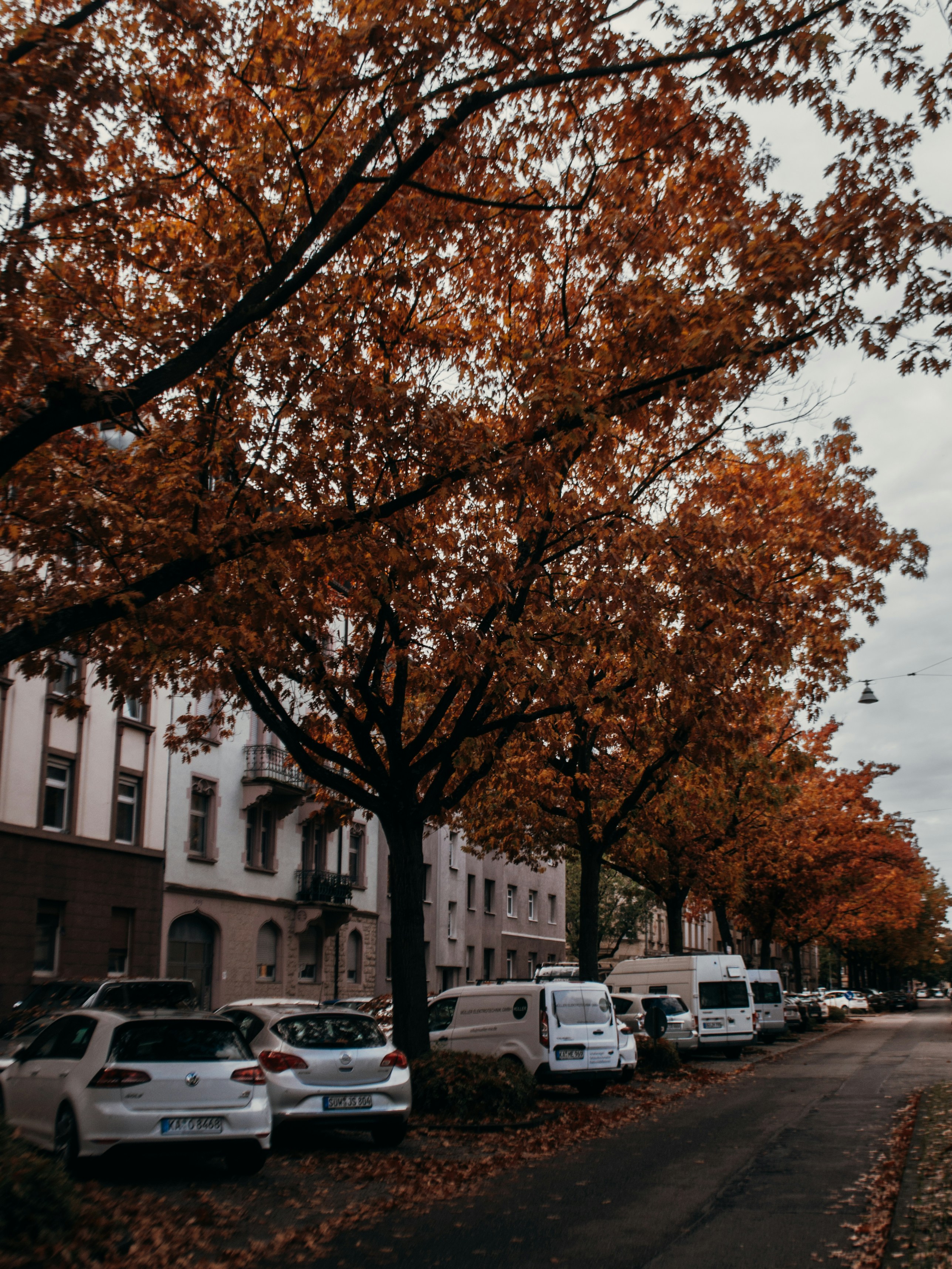 Photo by nelsonwongisme