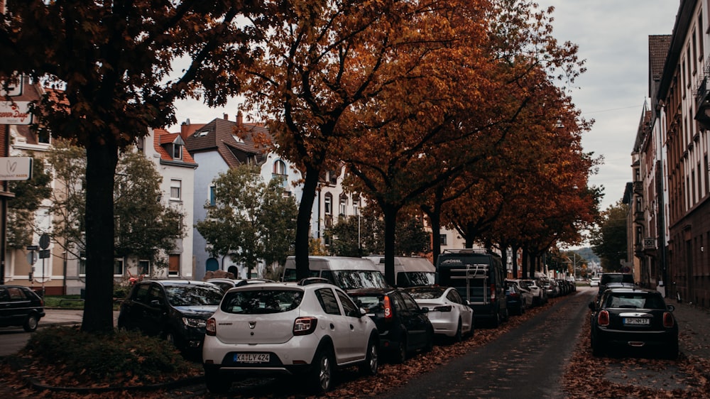 a row of parked cars