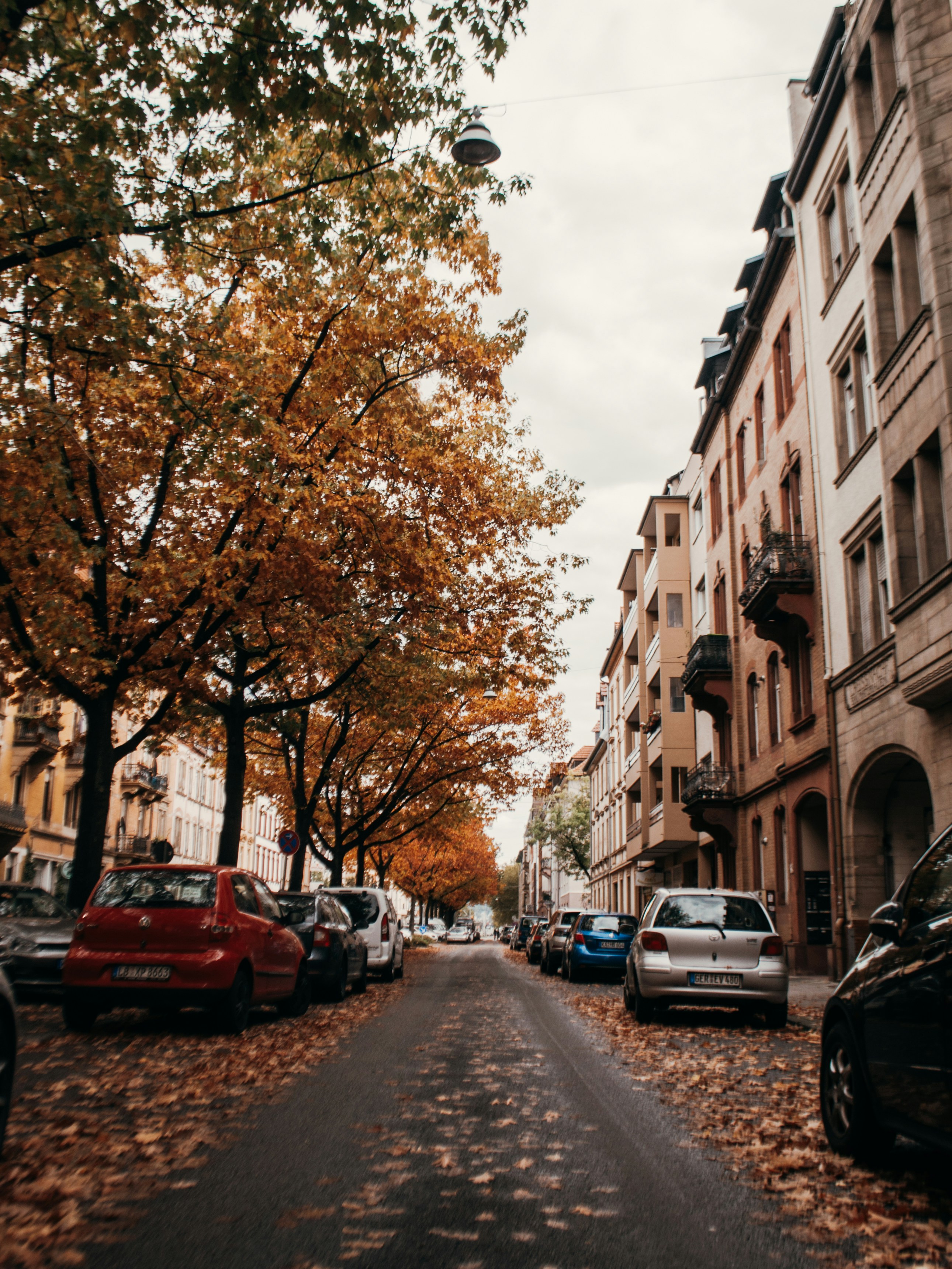 Photo by nelsonwongisme