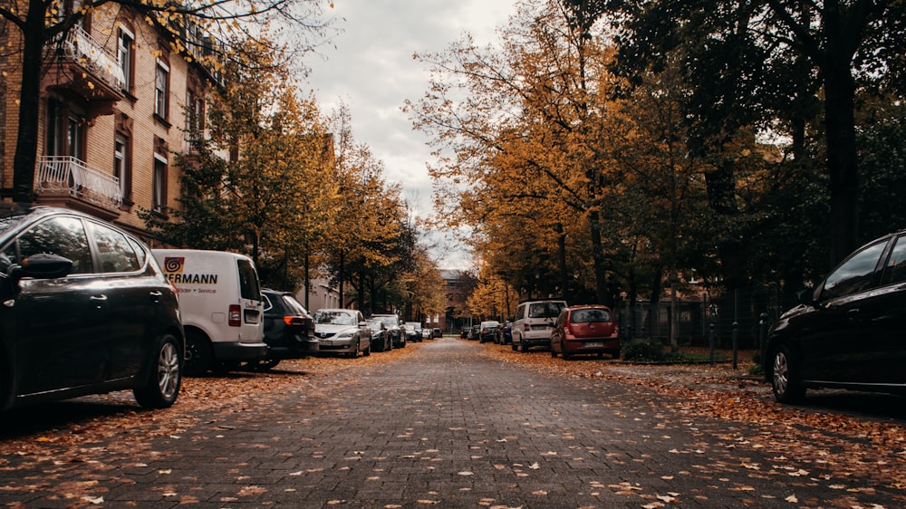 a street with cars parked along it