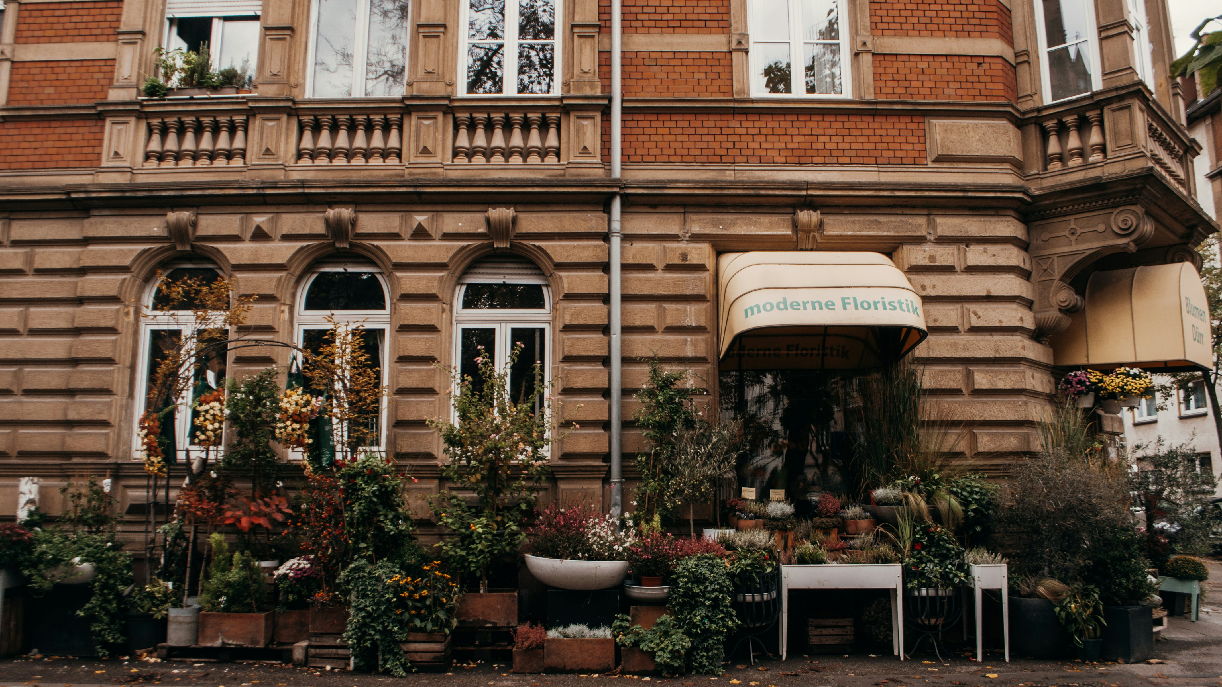 a building with plants and plants in front of it